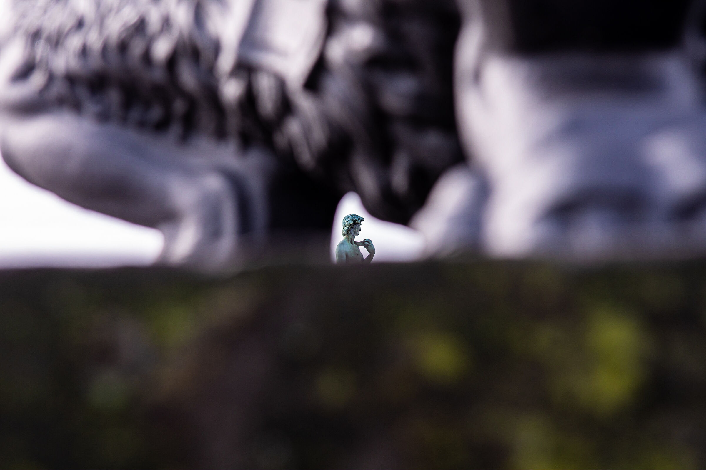 Untitled Photo