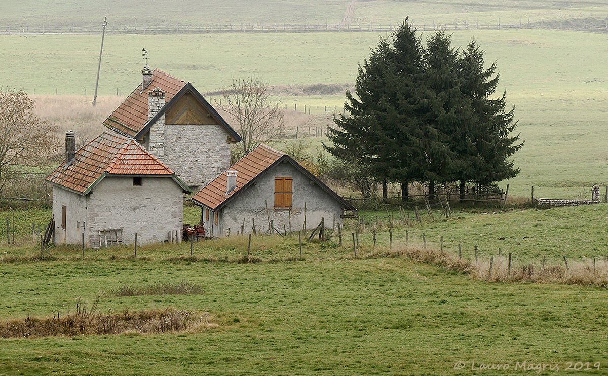 The Watchful Guardian