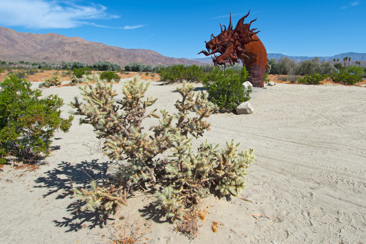 Anza Borrego State Park