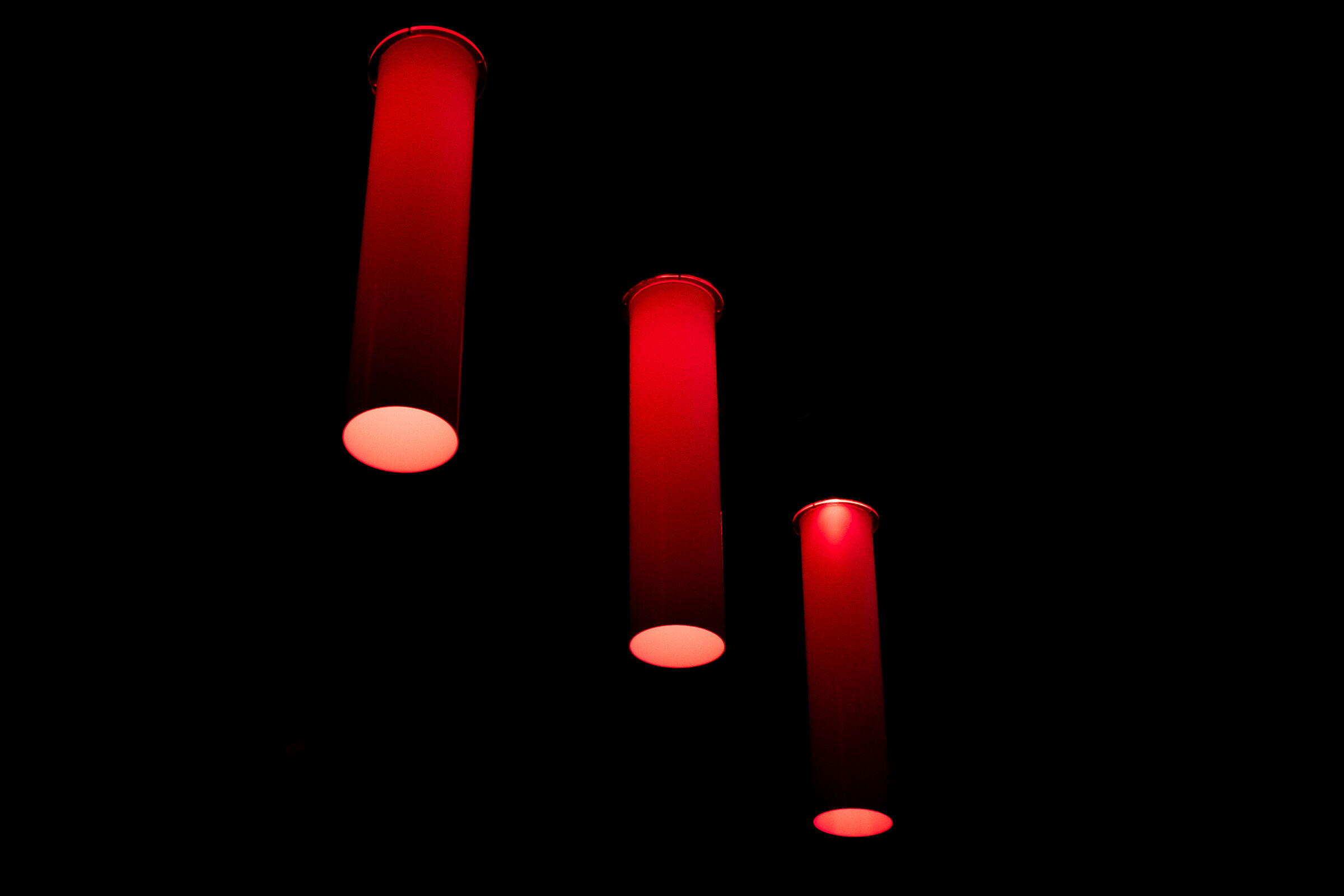 Untitled Photo