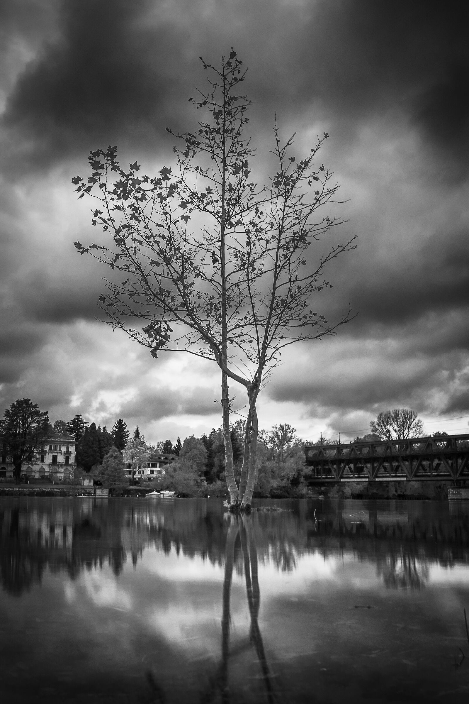 Untitled Photo