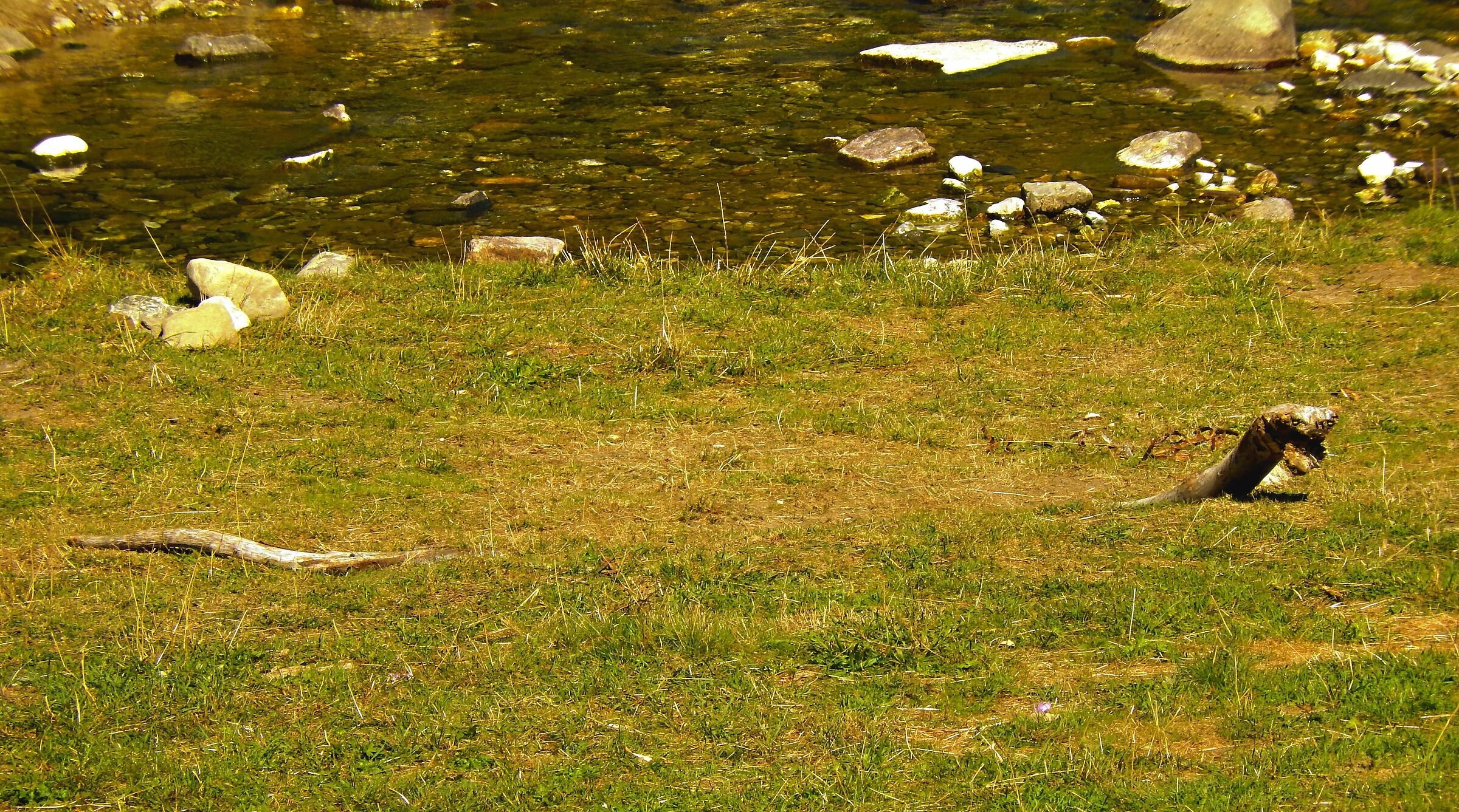 In search of his "Nessie" ...