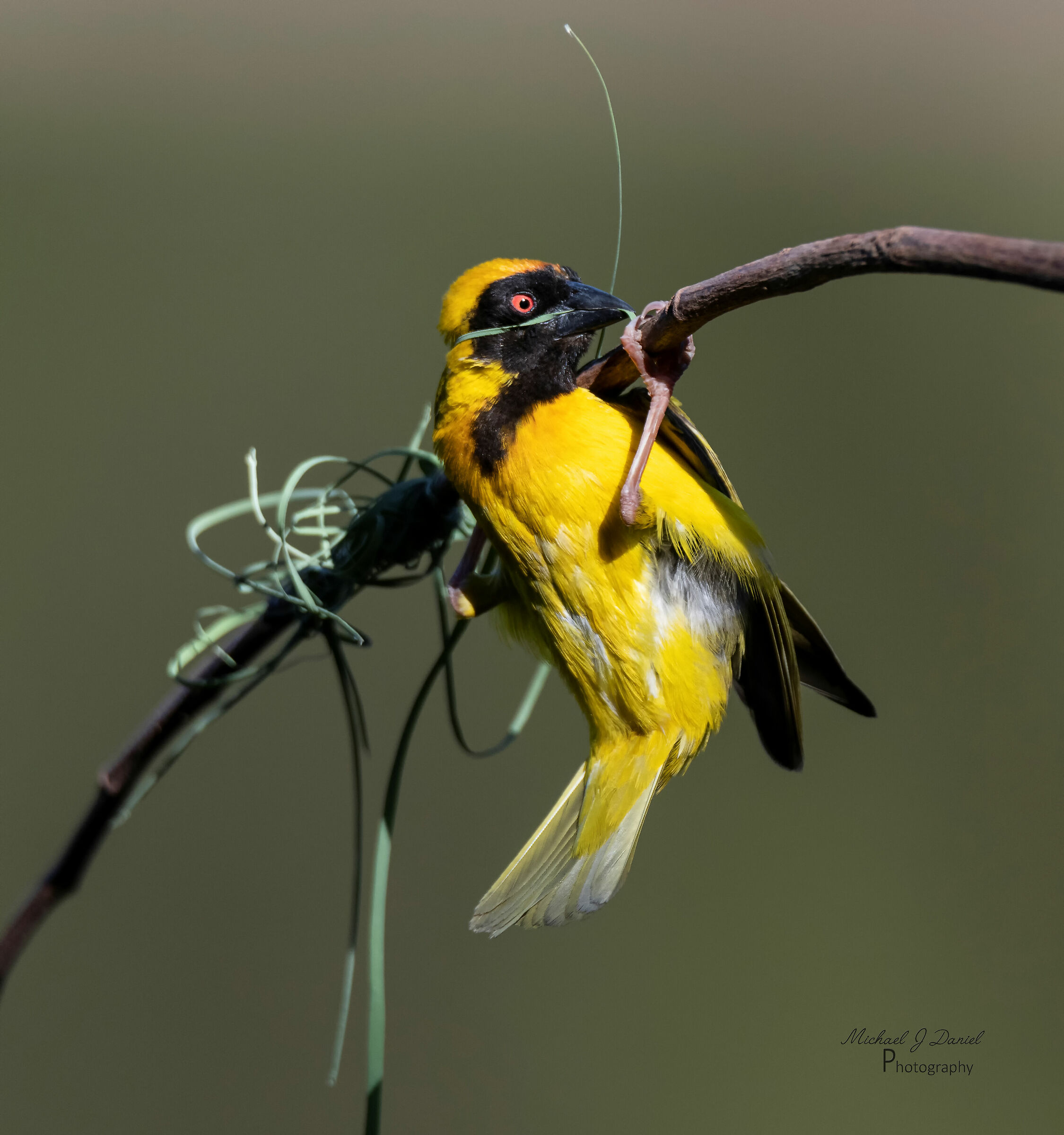 Oops... che ora. Tutto legato