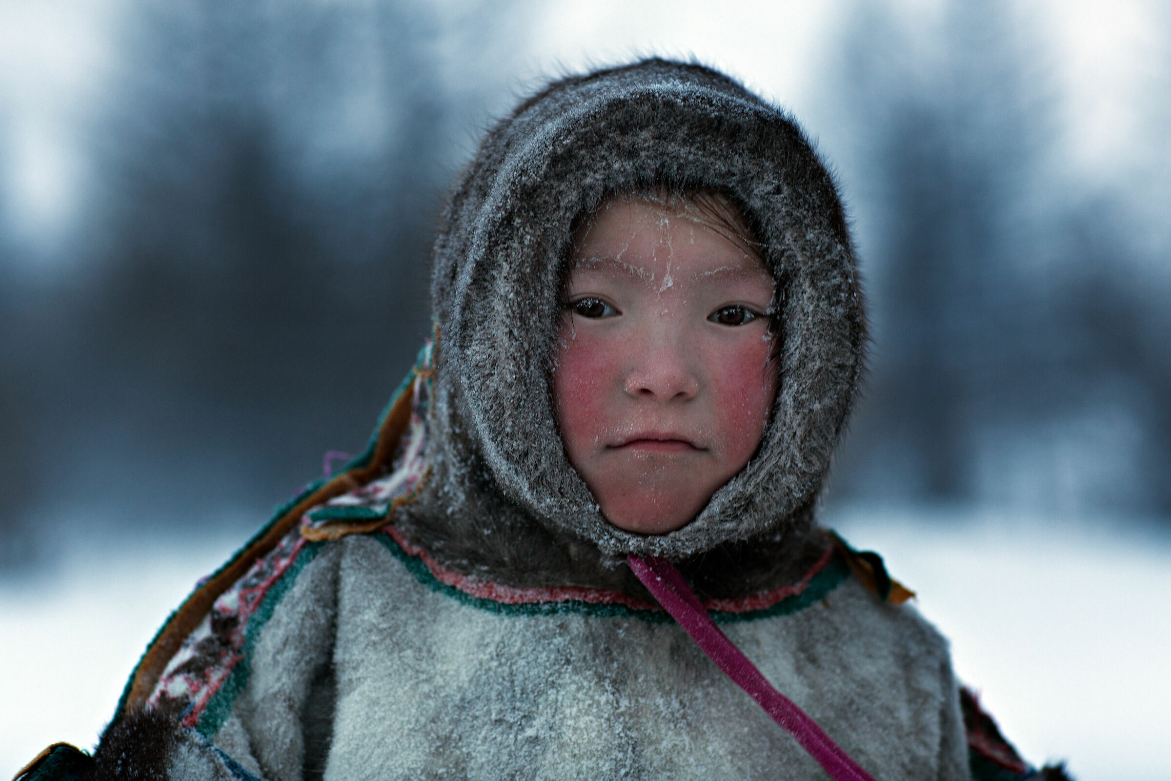 Dura vita siberiana. Allevatori di renne.