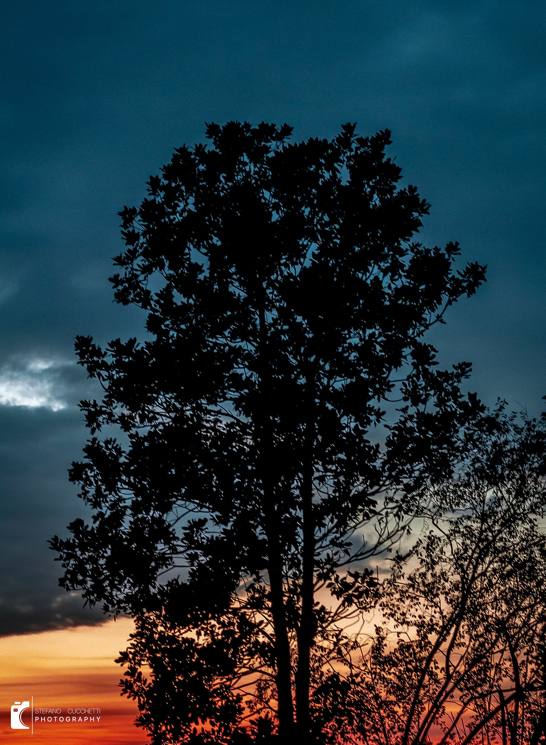 Silhouette at sunset