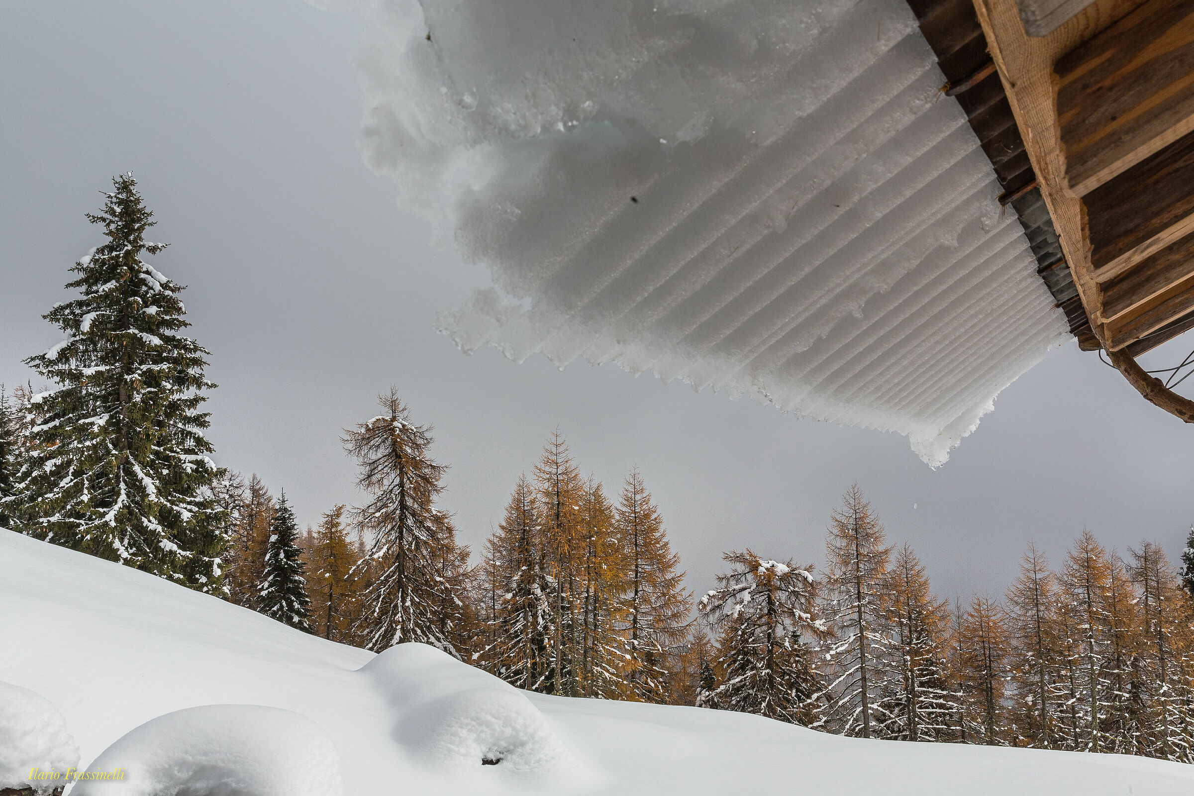 Attenzione...caduta neve