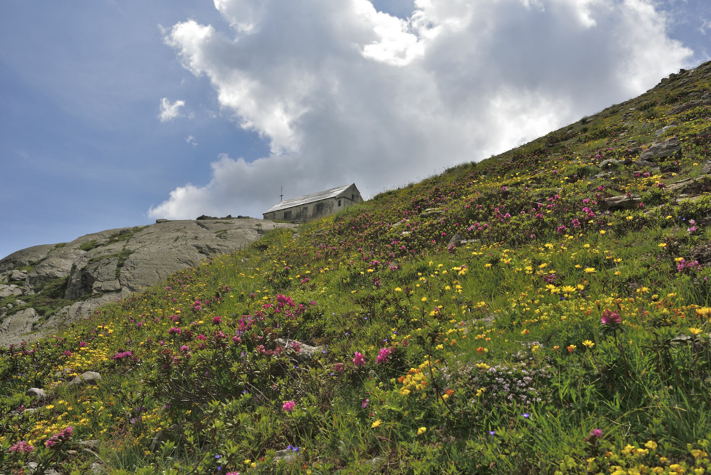 just below the dam a real colorat garden