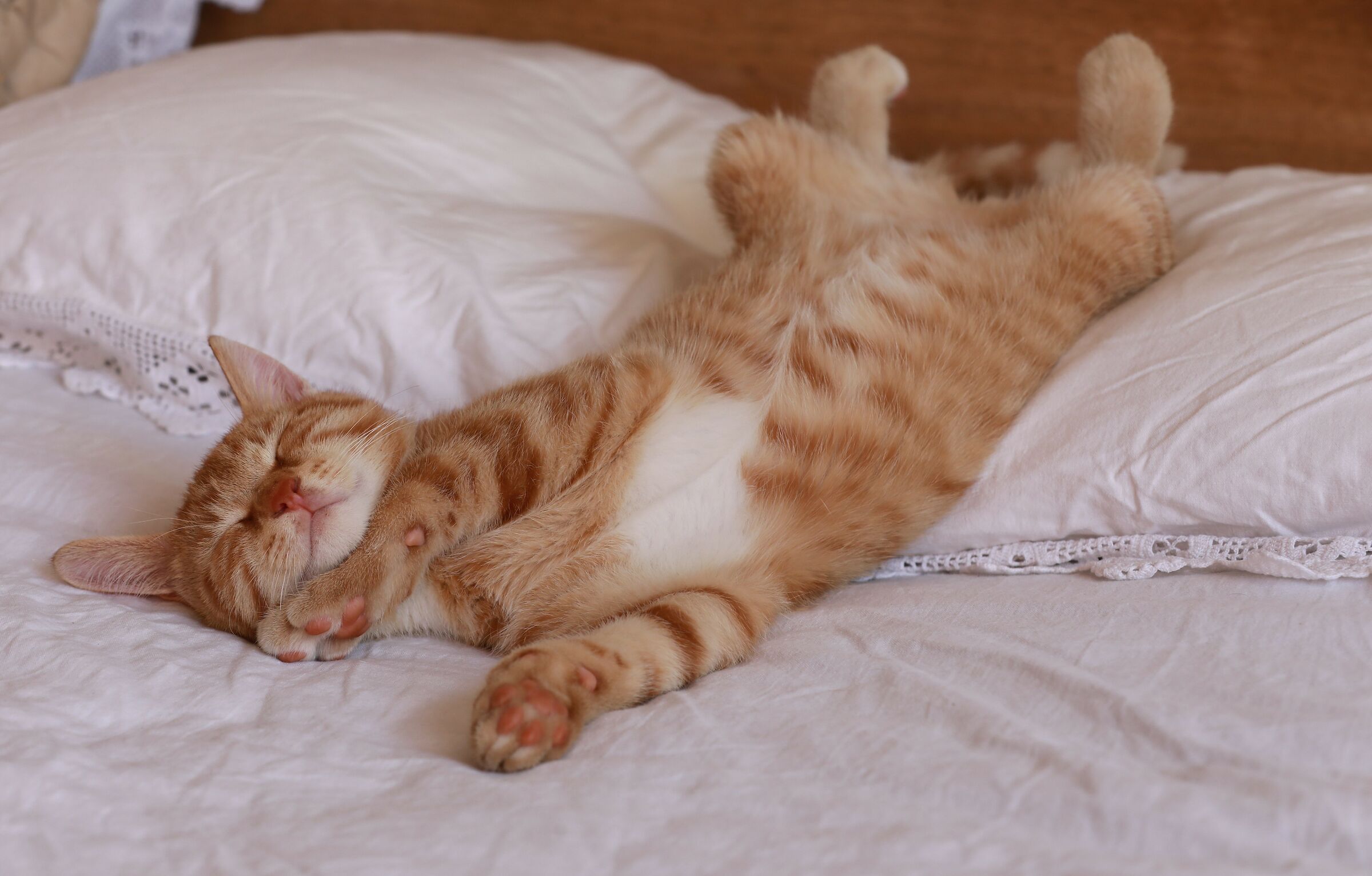 non disturbare....son nato fortunato