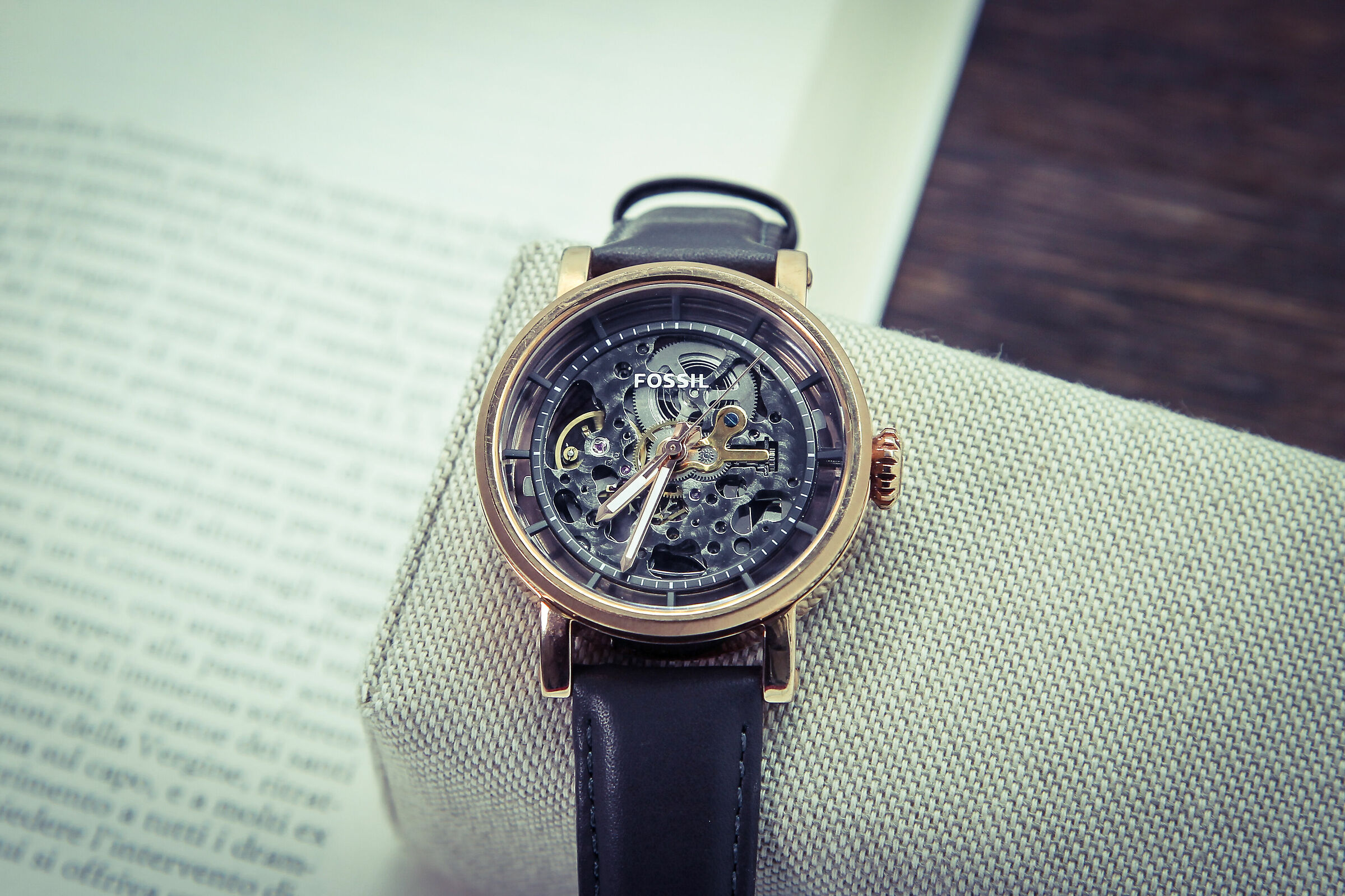 fossilwatch property