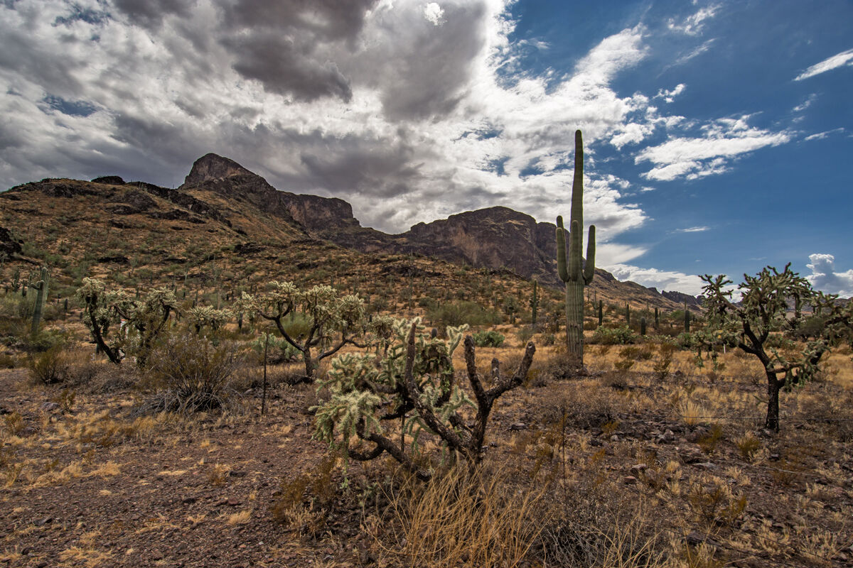 Picacho Peak State Park