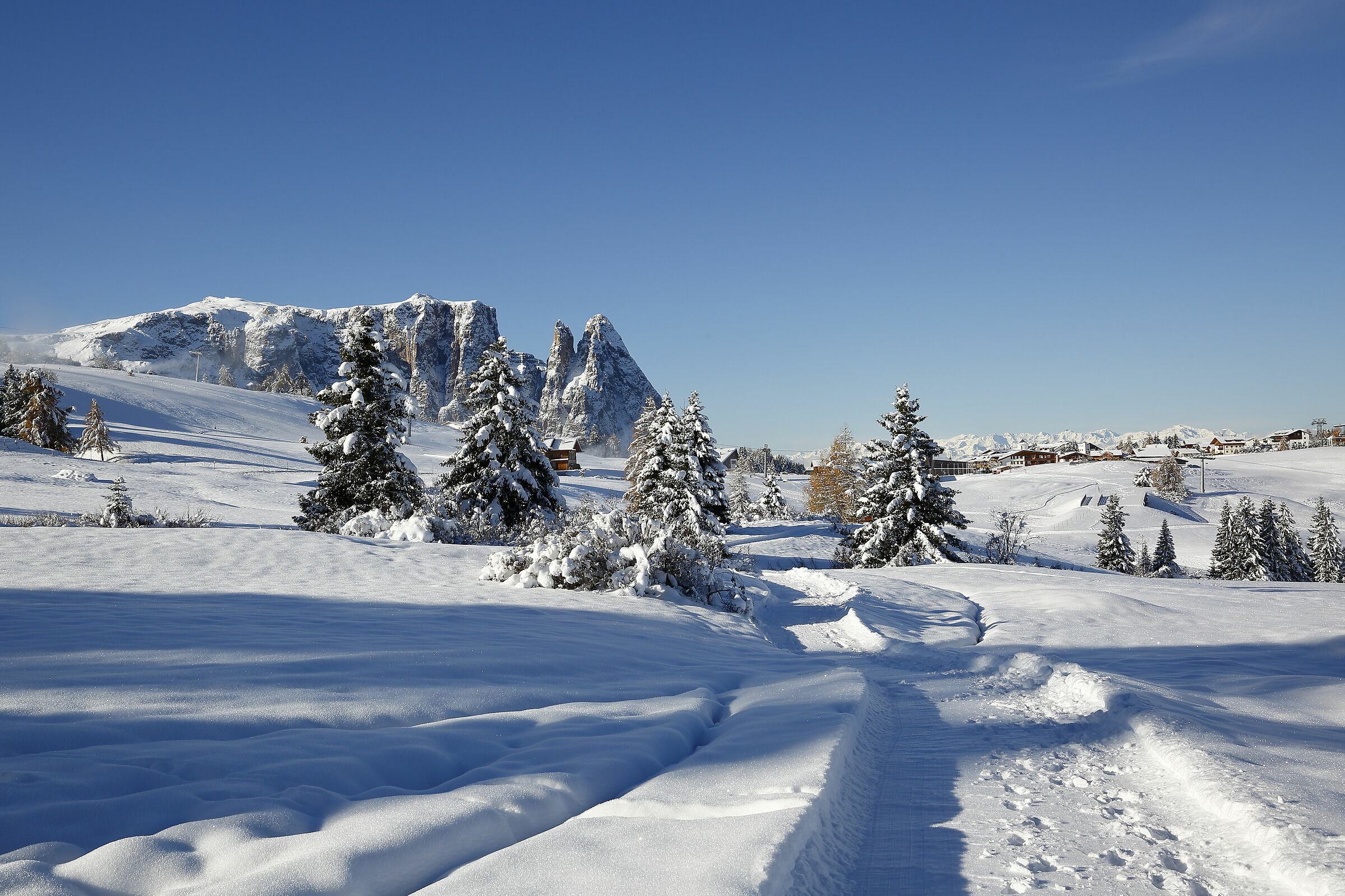 The Sciliar seen from the Alpe di Siusi