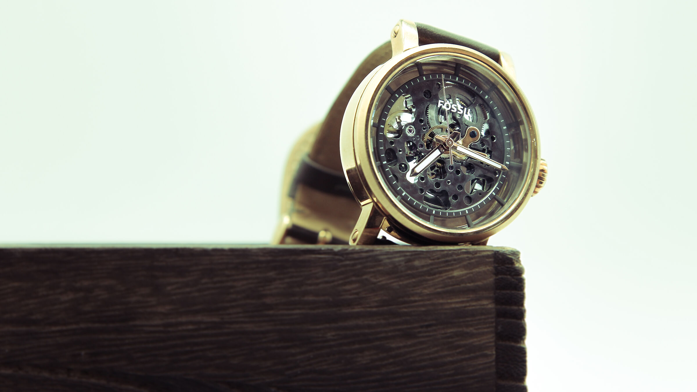 fossilwatch property