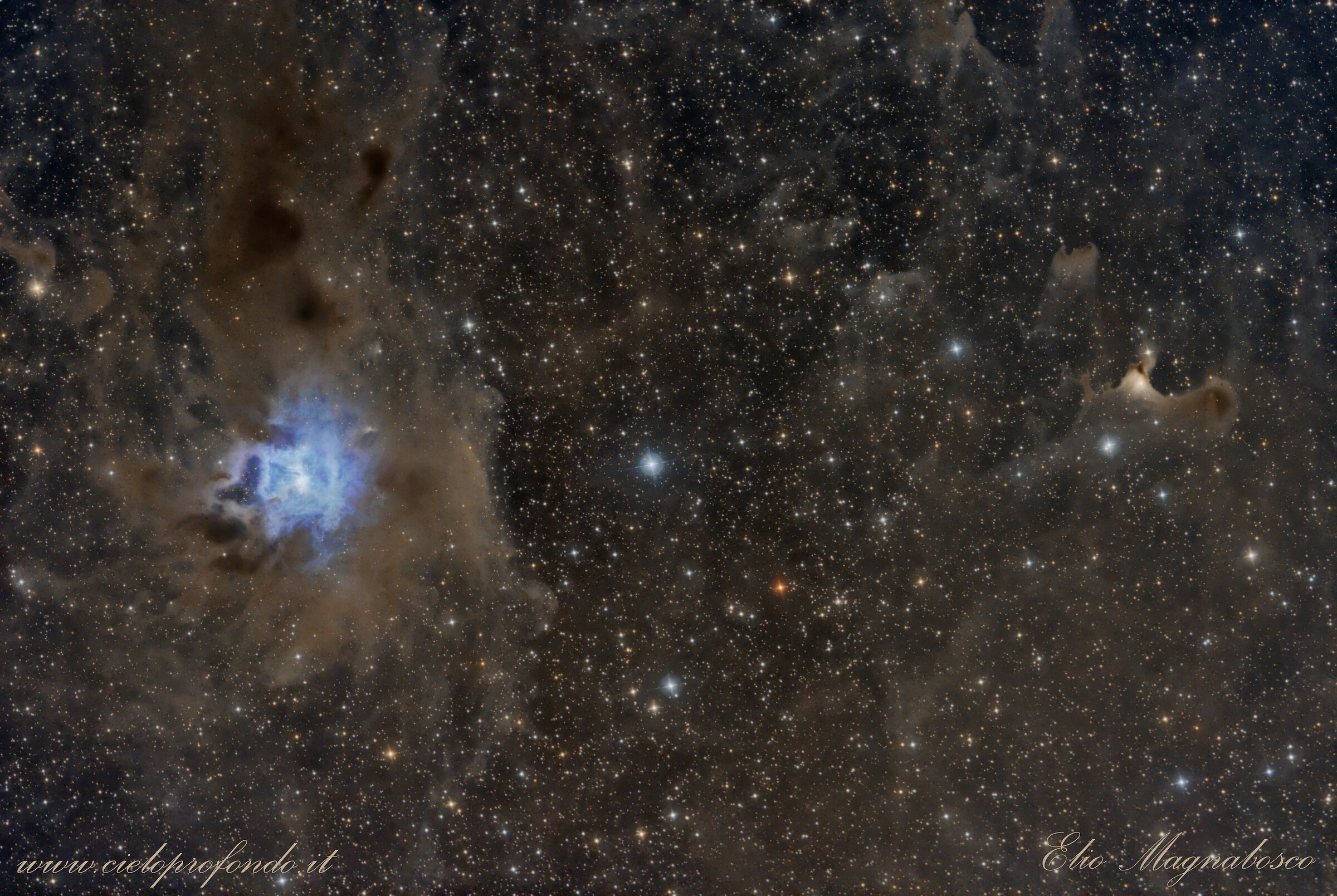 Ngc 7023 - Vdb1 41