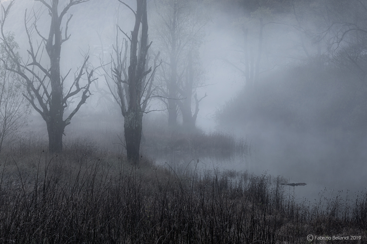 Mysterious presences