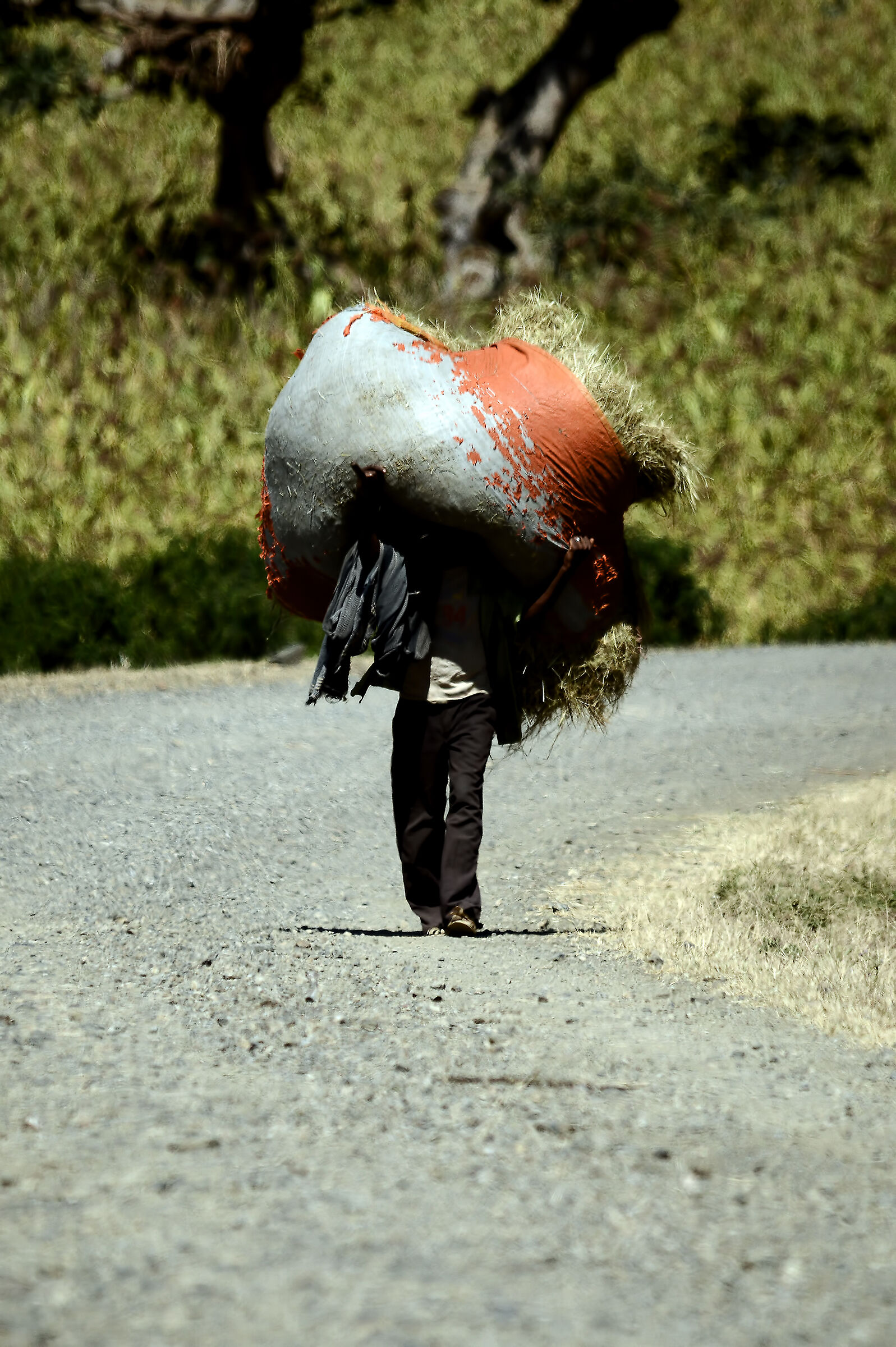 Oggi sento una pesantezza alla testa che ..........