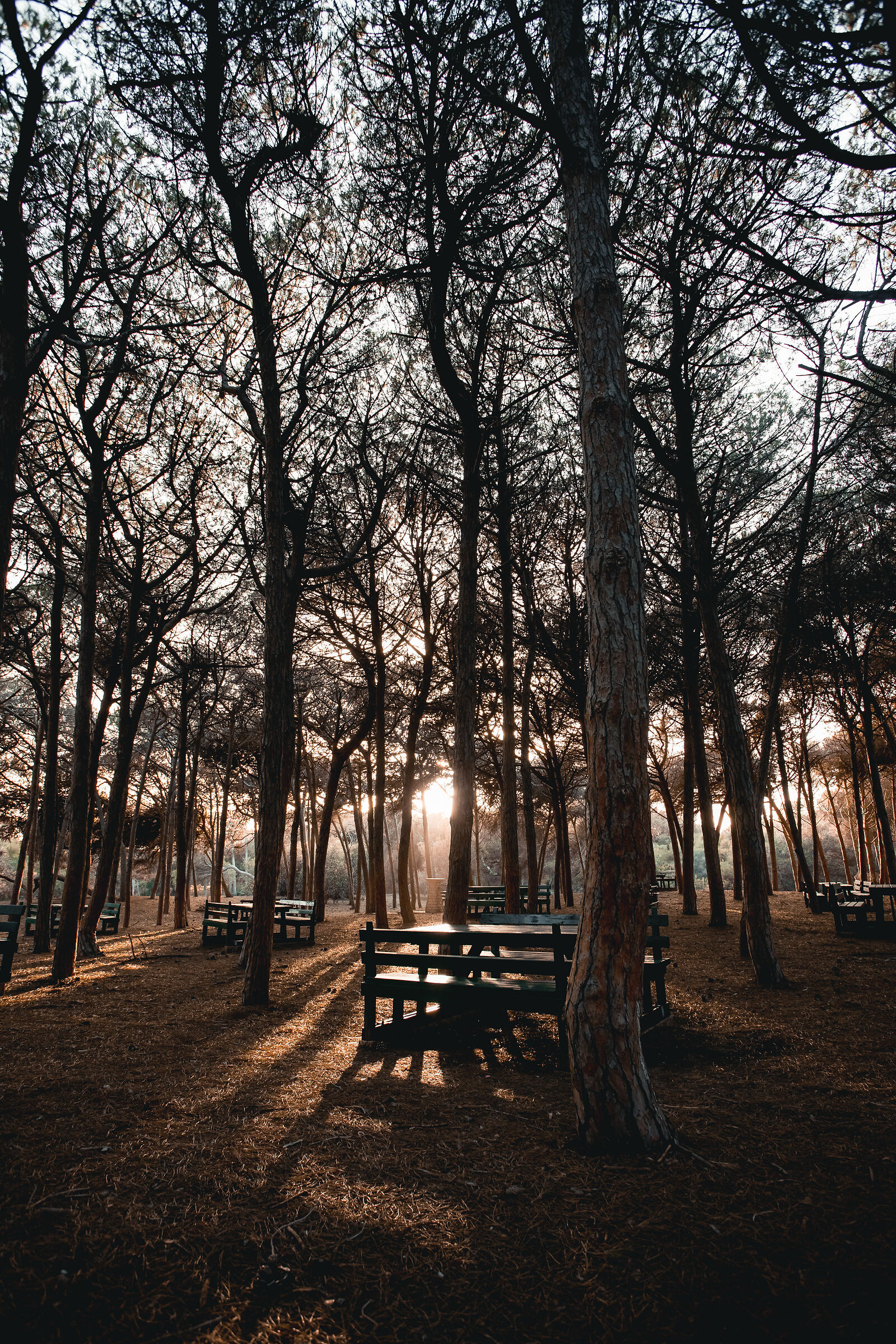 Get lost in nature and admire its beauty.