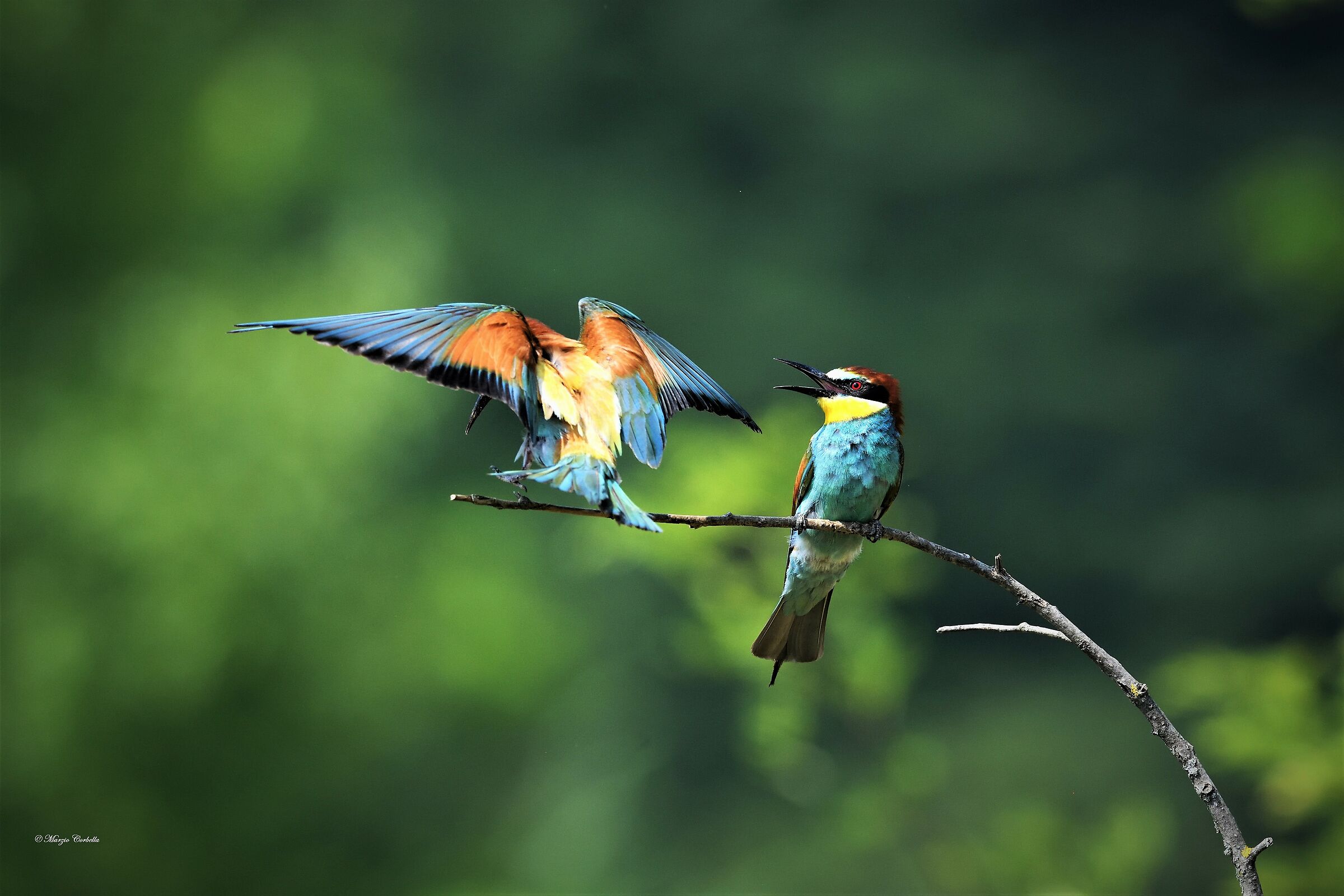 And don't come back as drunk as ever