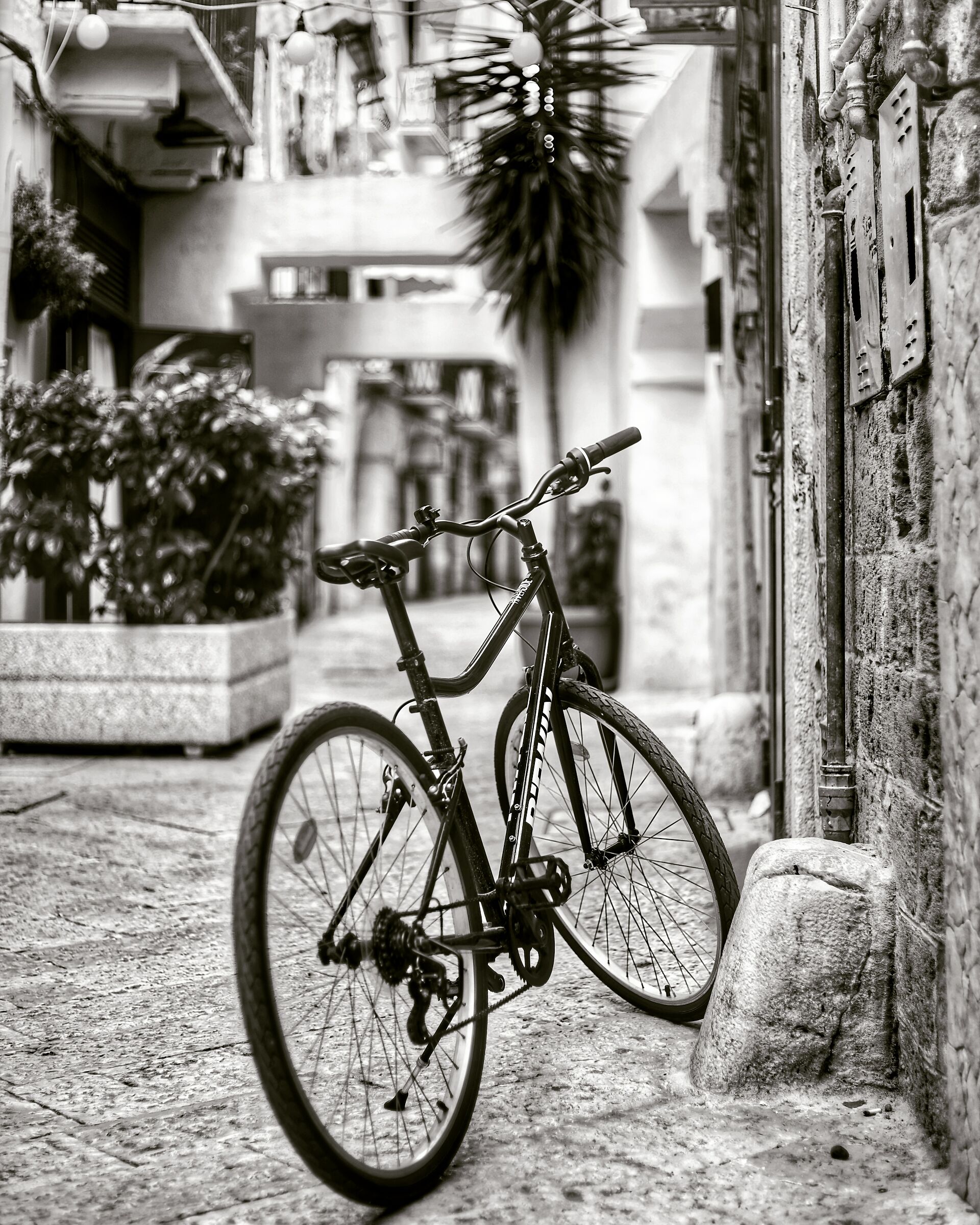 Due ruote di libertà