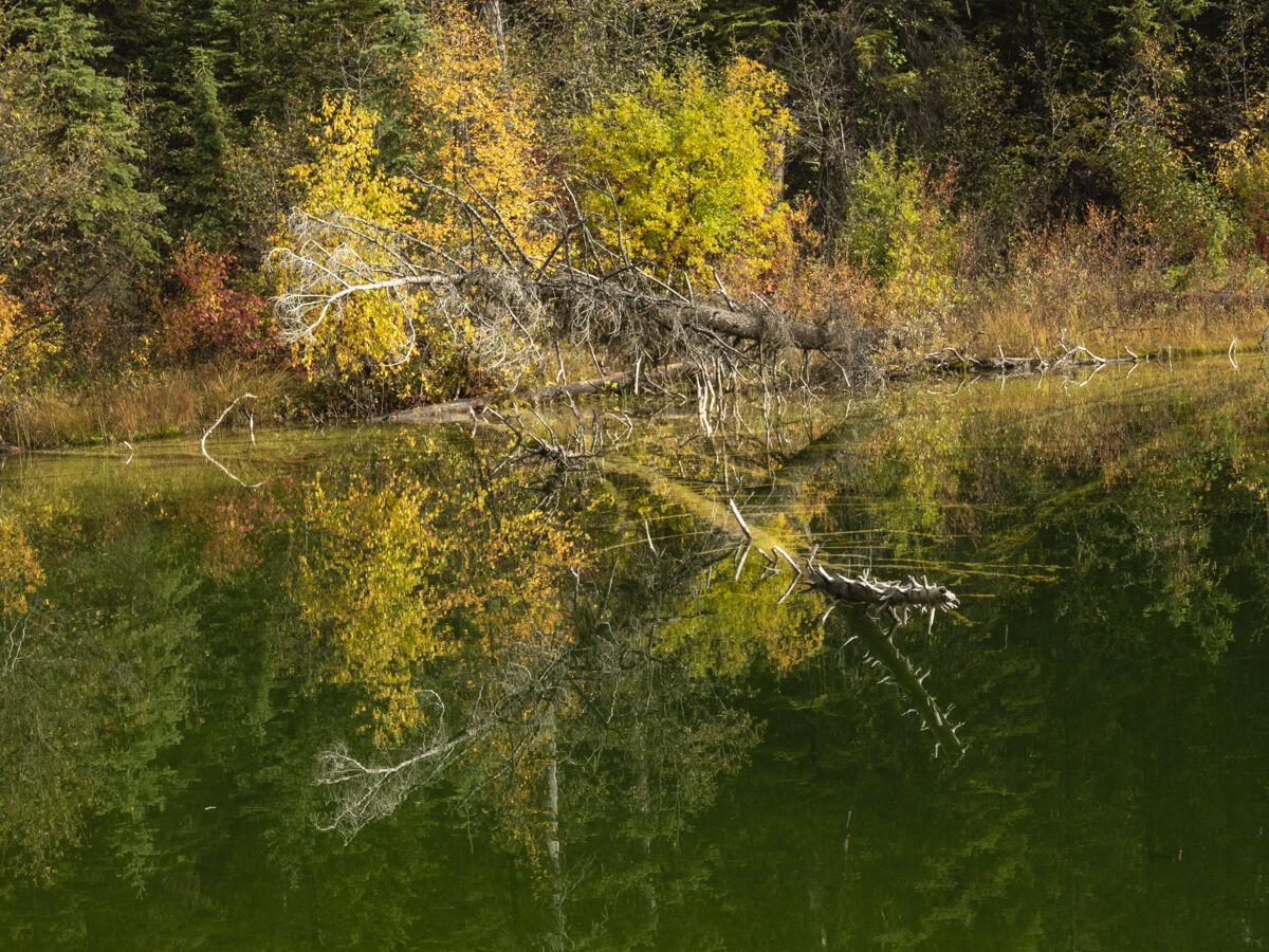 Kootonay N.Park Canada