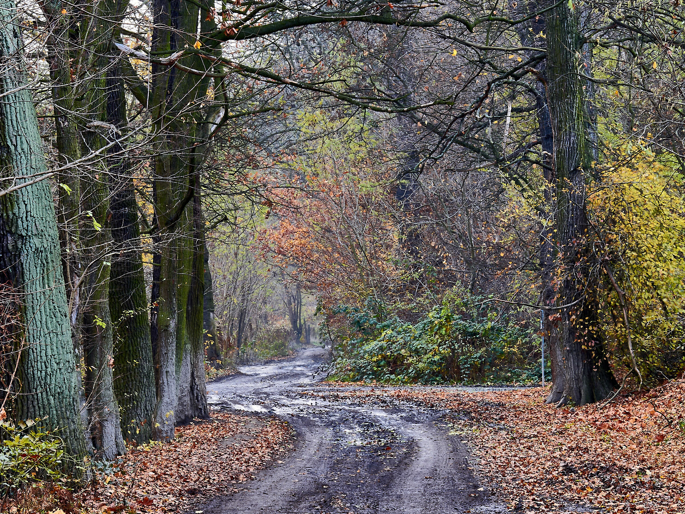 Il percorso autunnale.