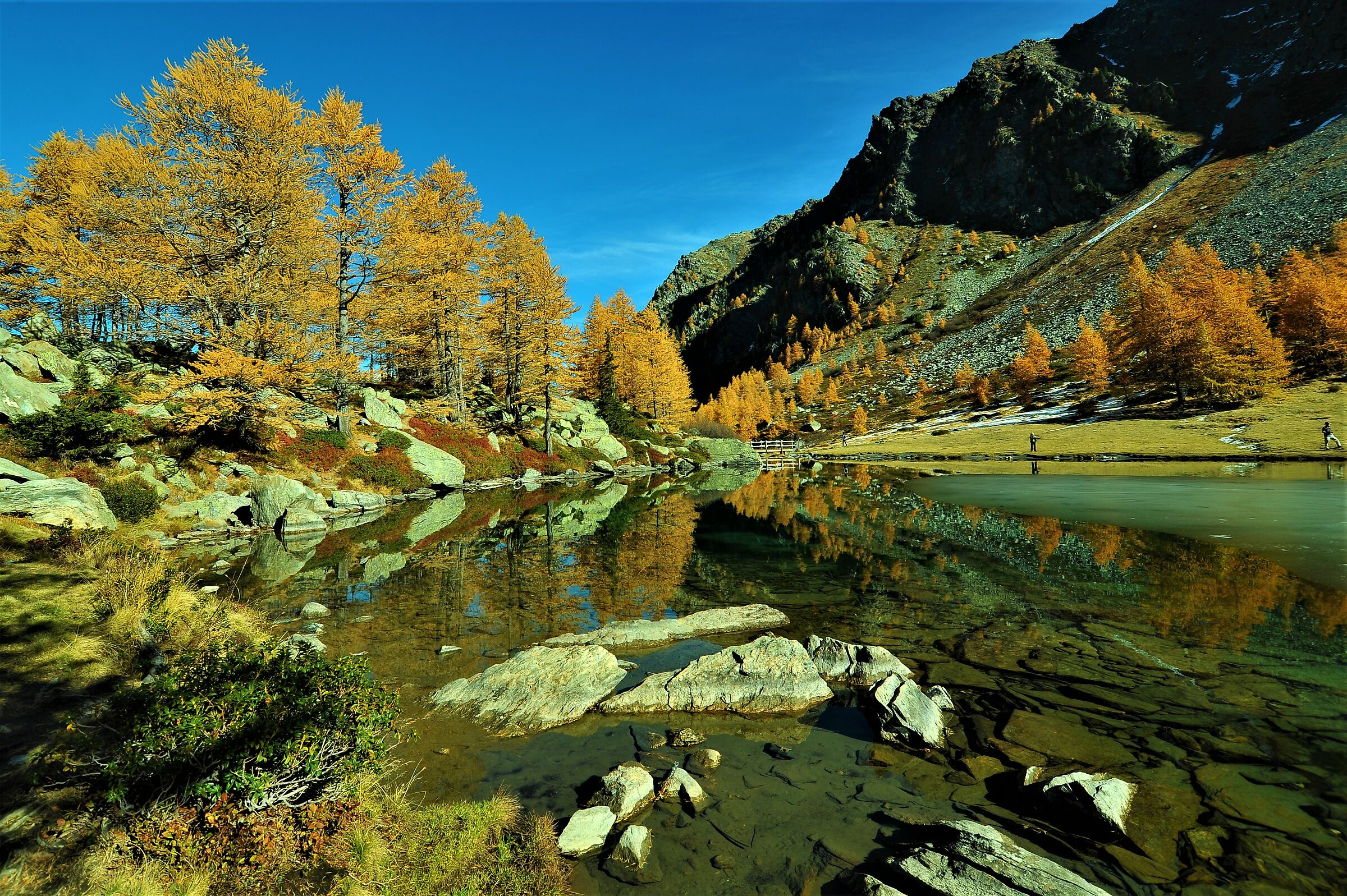 Autumn Reflections...