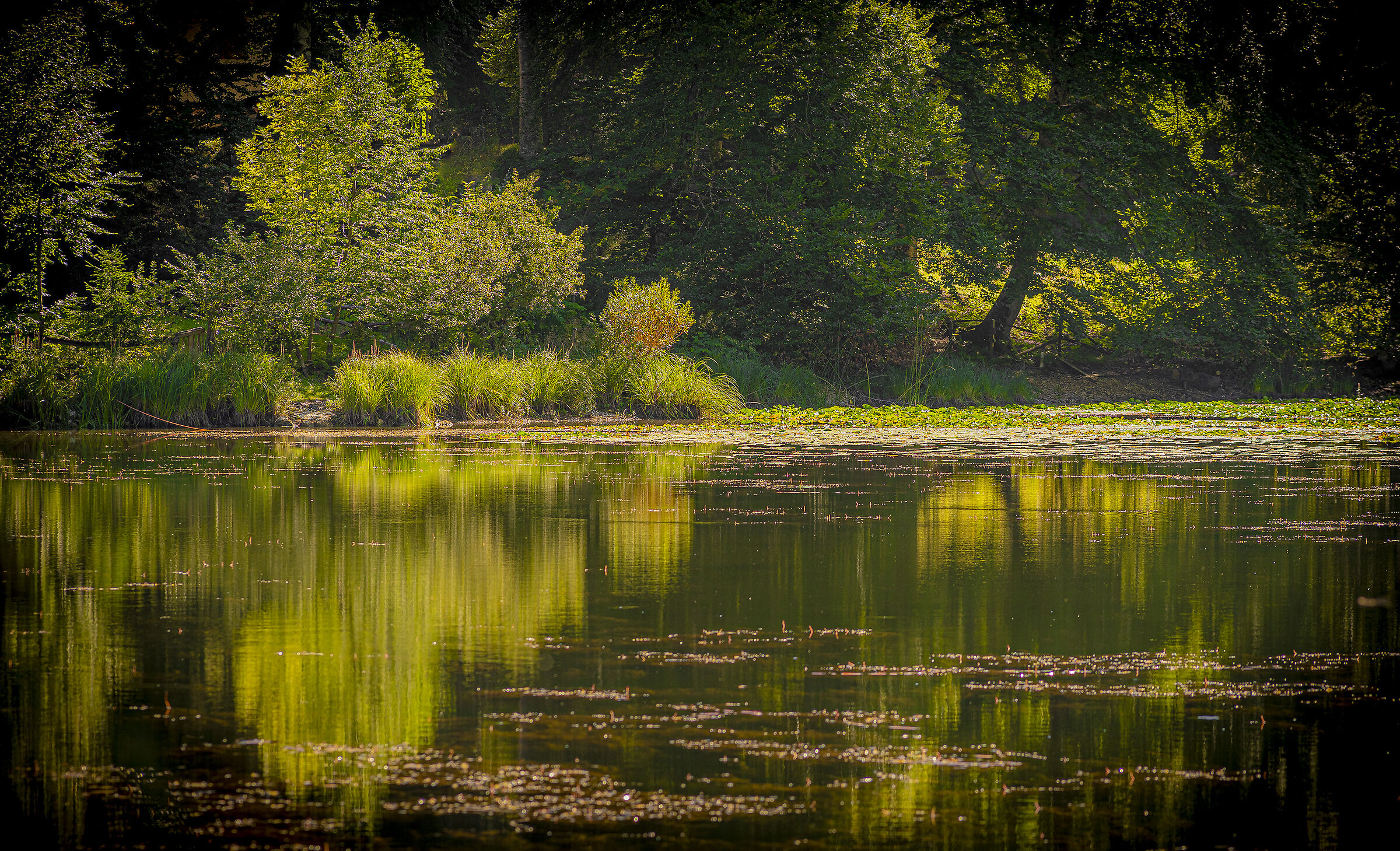 Reflections at sunset