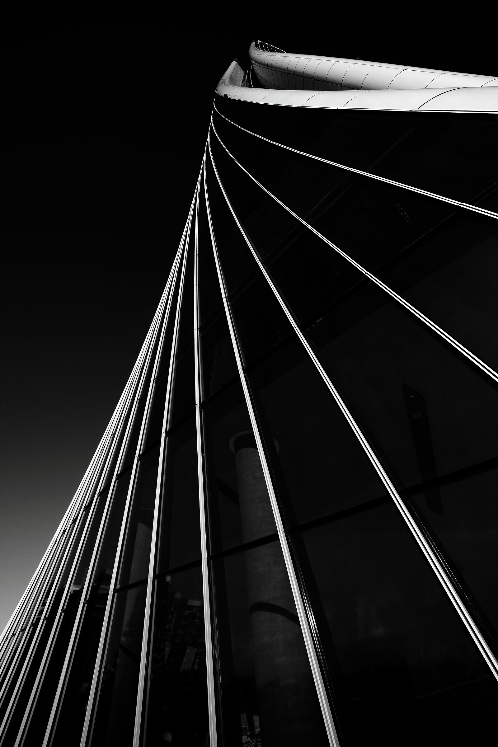 Untitled Photo