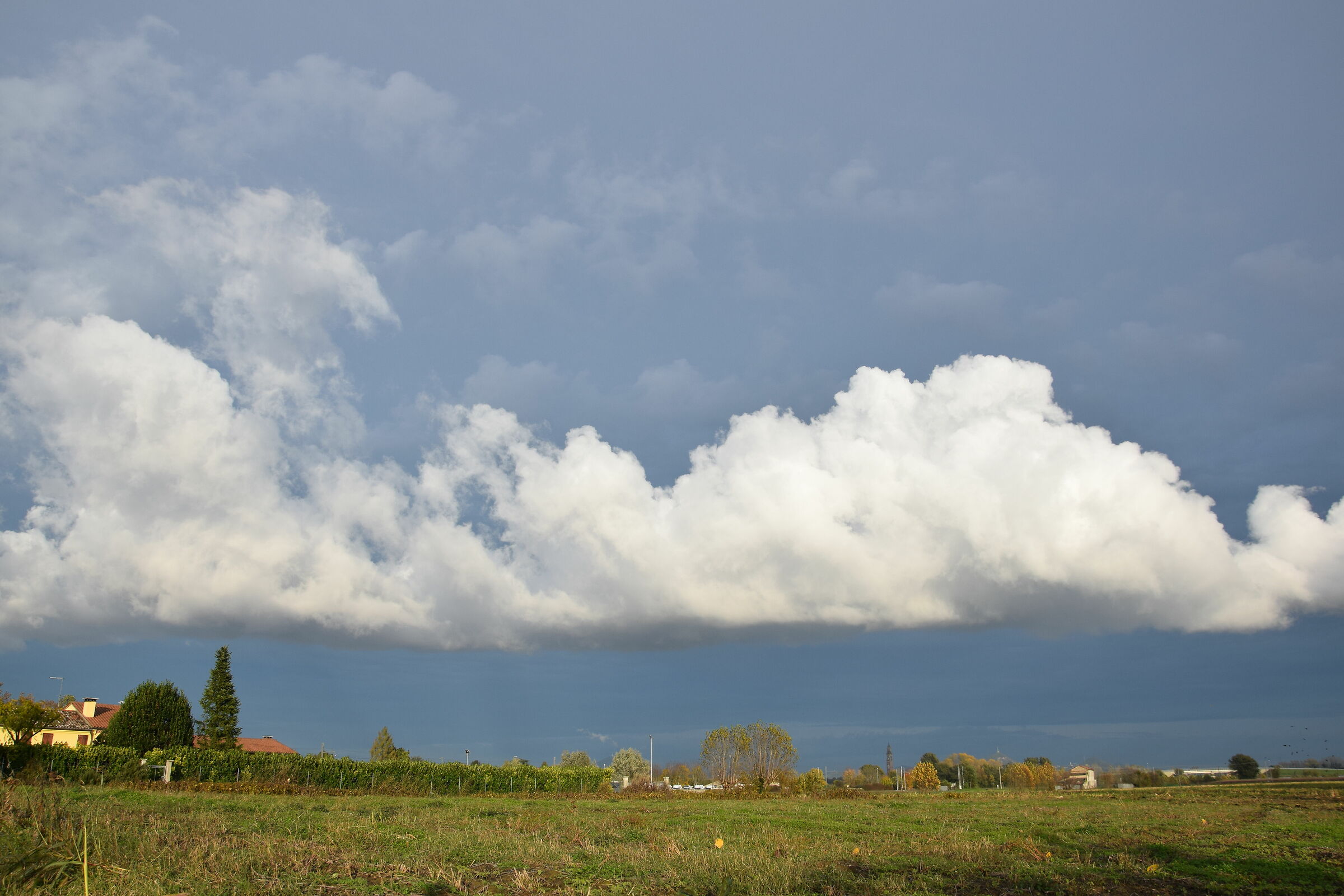 Spumiglia su sfondo blu