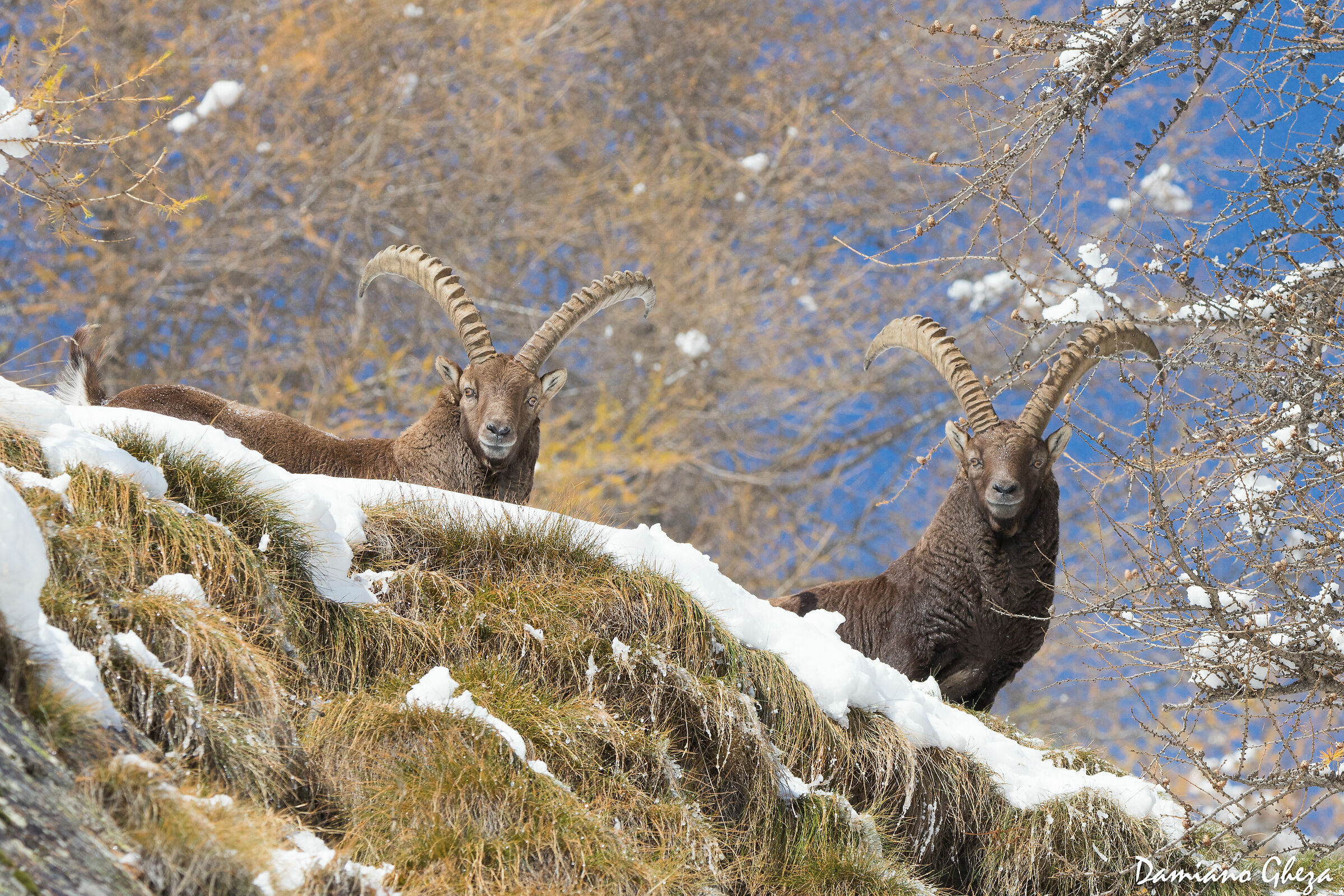 Amici per la pelle...