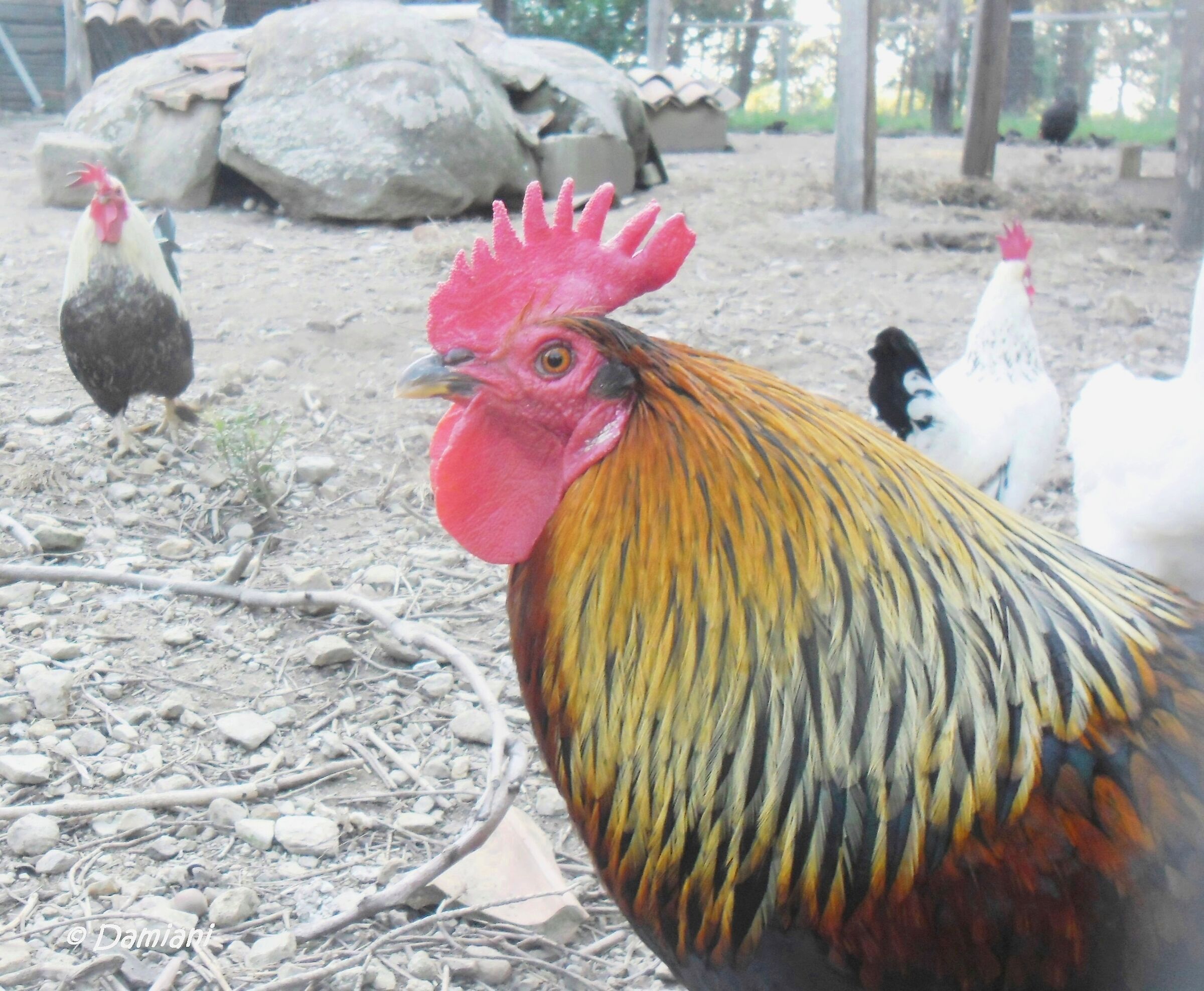 Beautiful and impossible