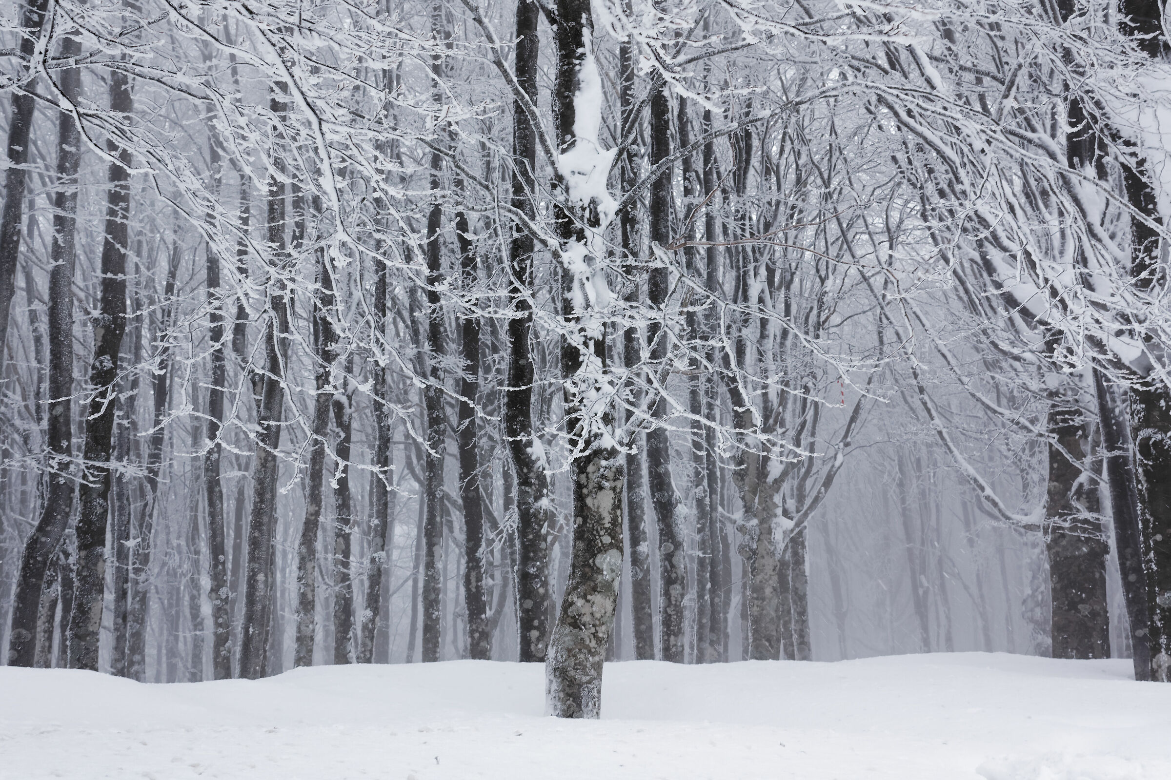 Winter on the Amiata