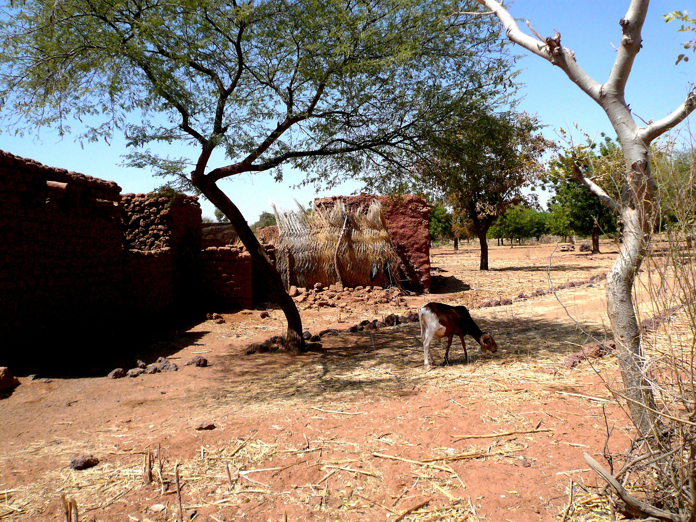 Village in Burkina Faso