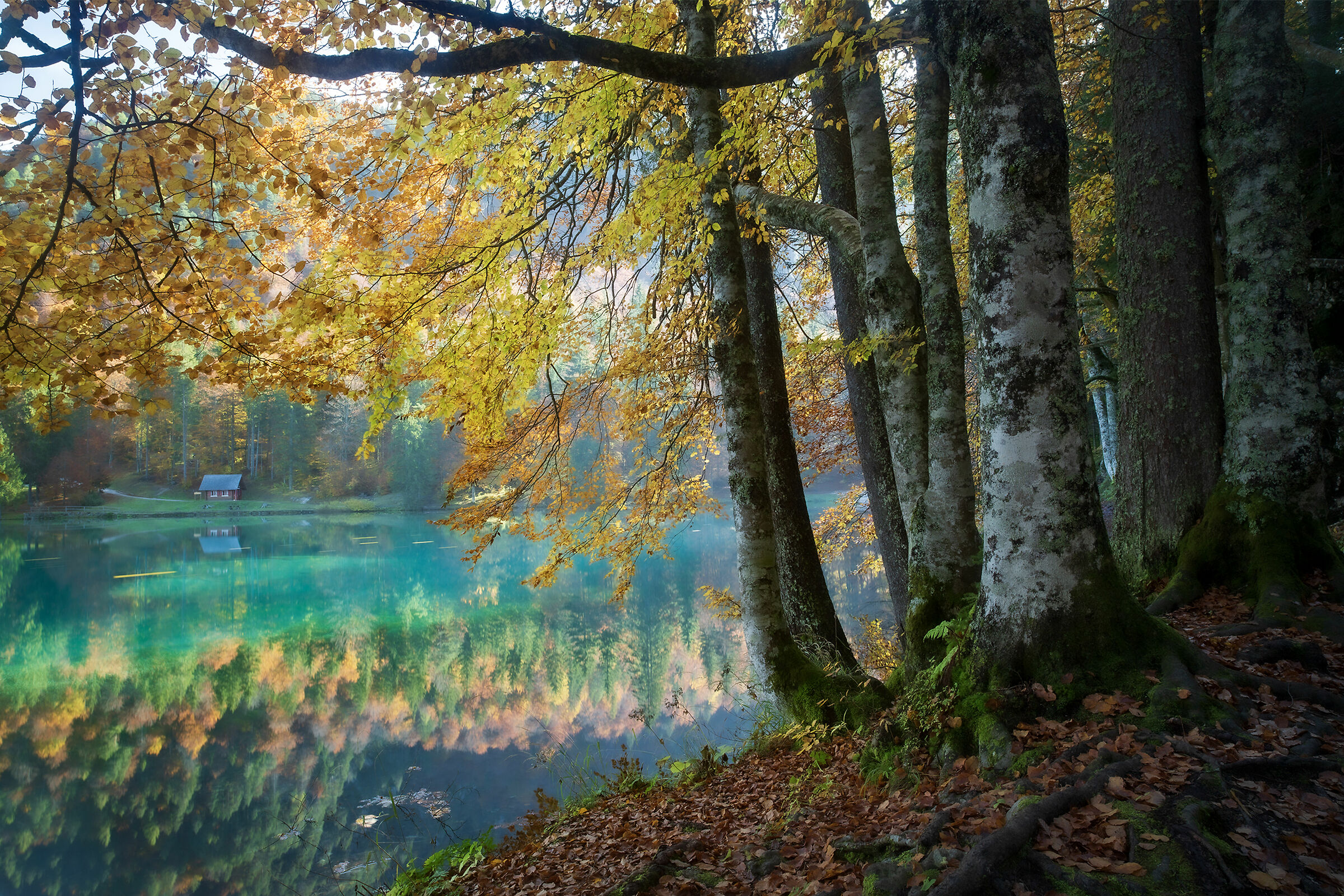 Lago di Fusine inferiore