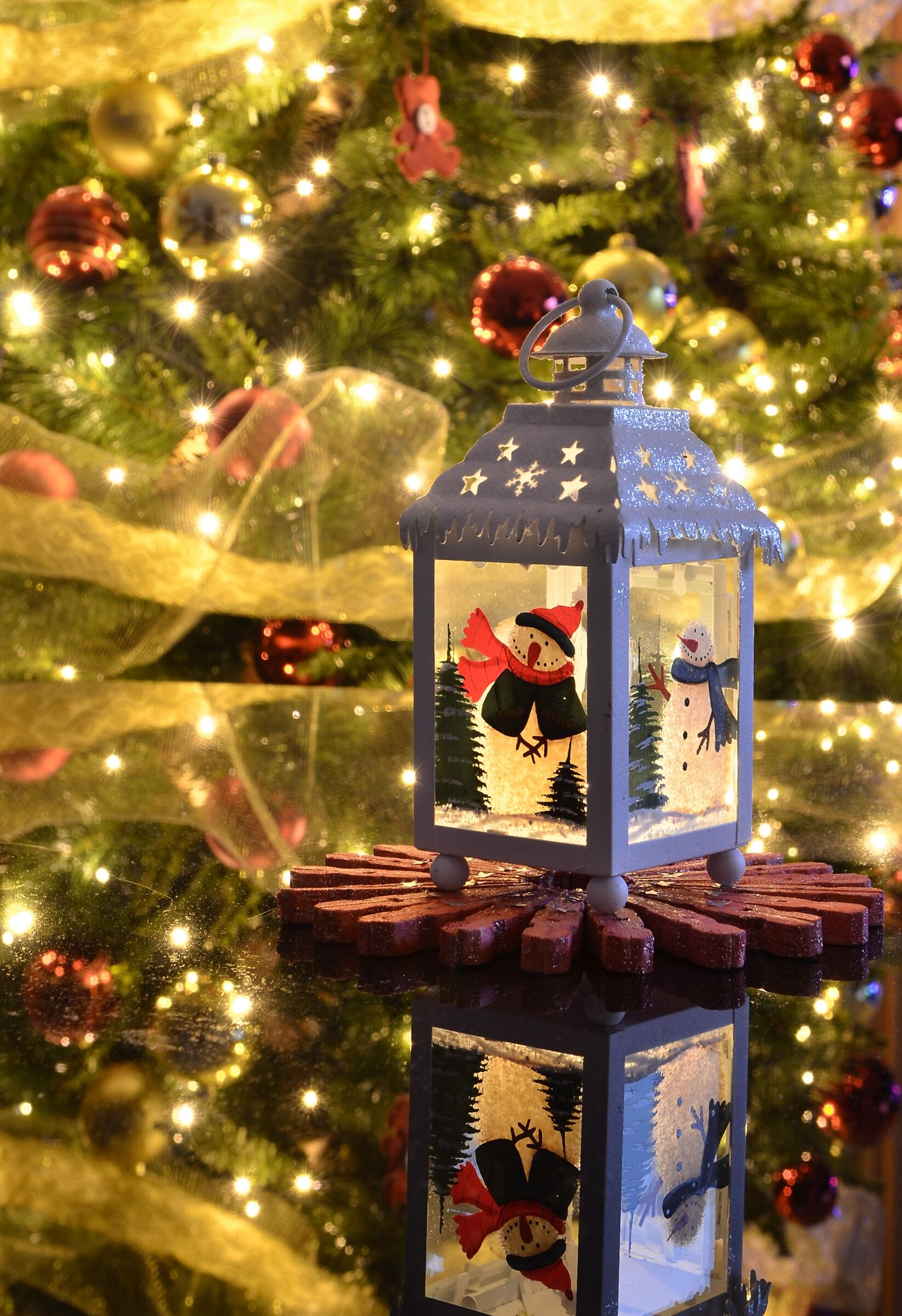 Here it is on Christmas