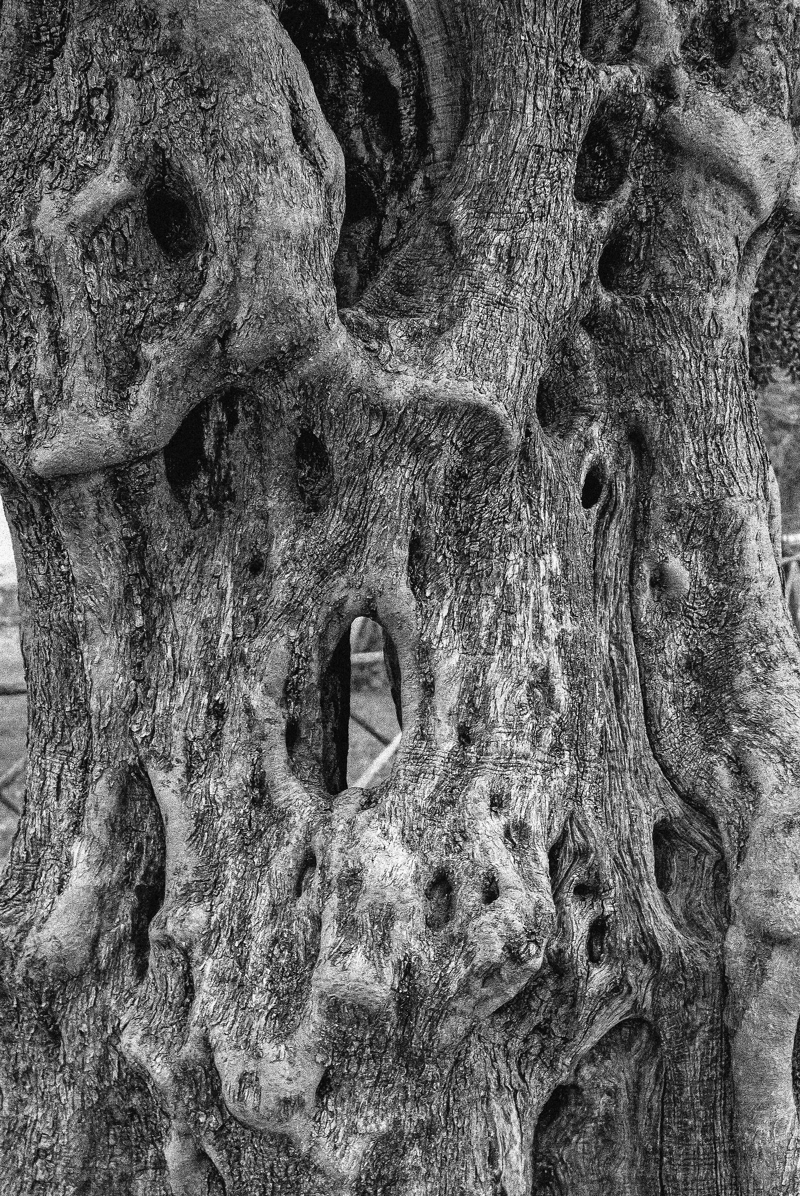 Signs of life