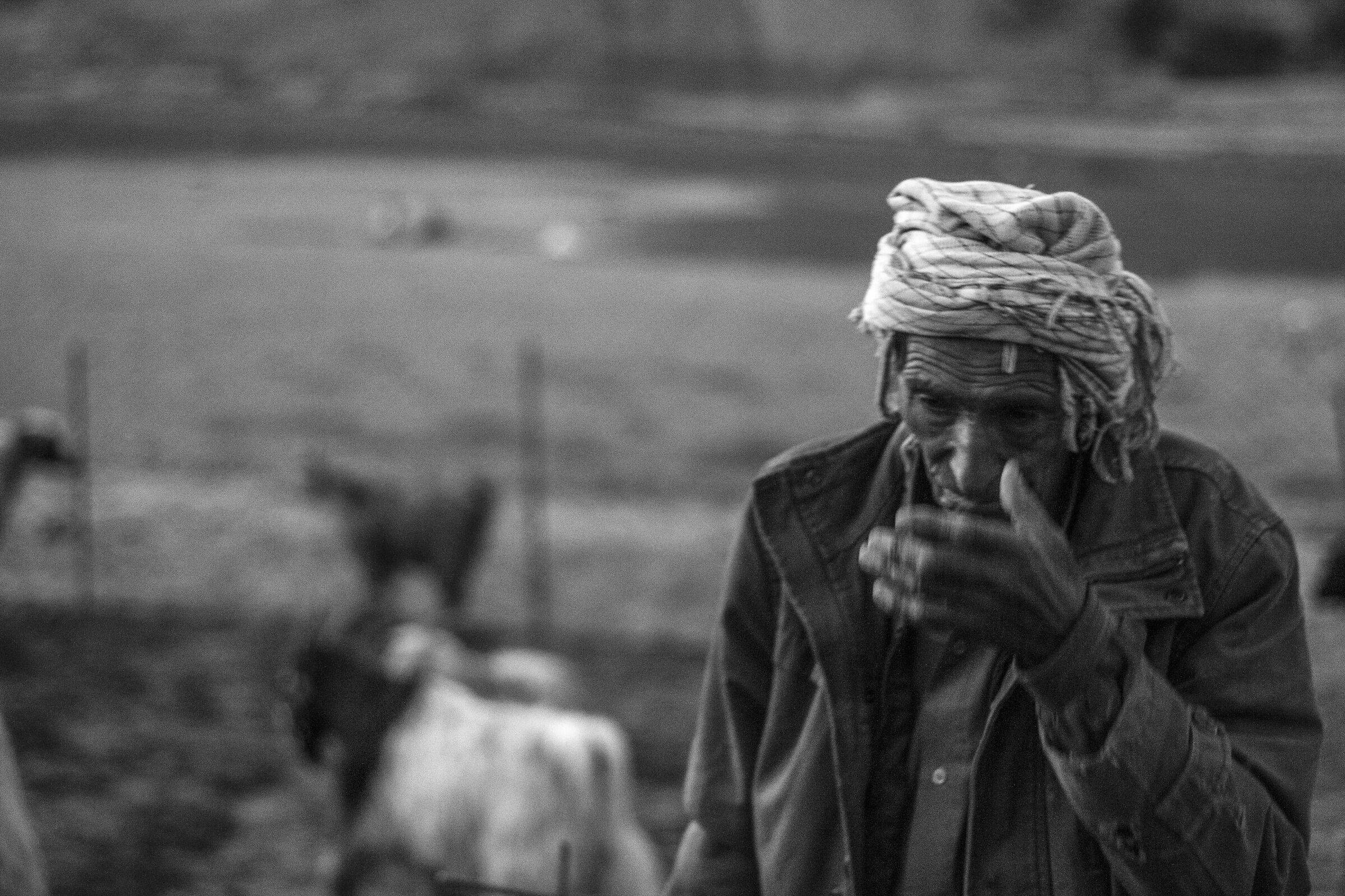Nomadic Shepherd at Dusk