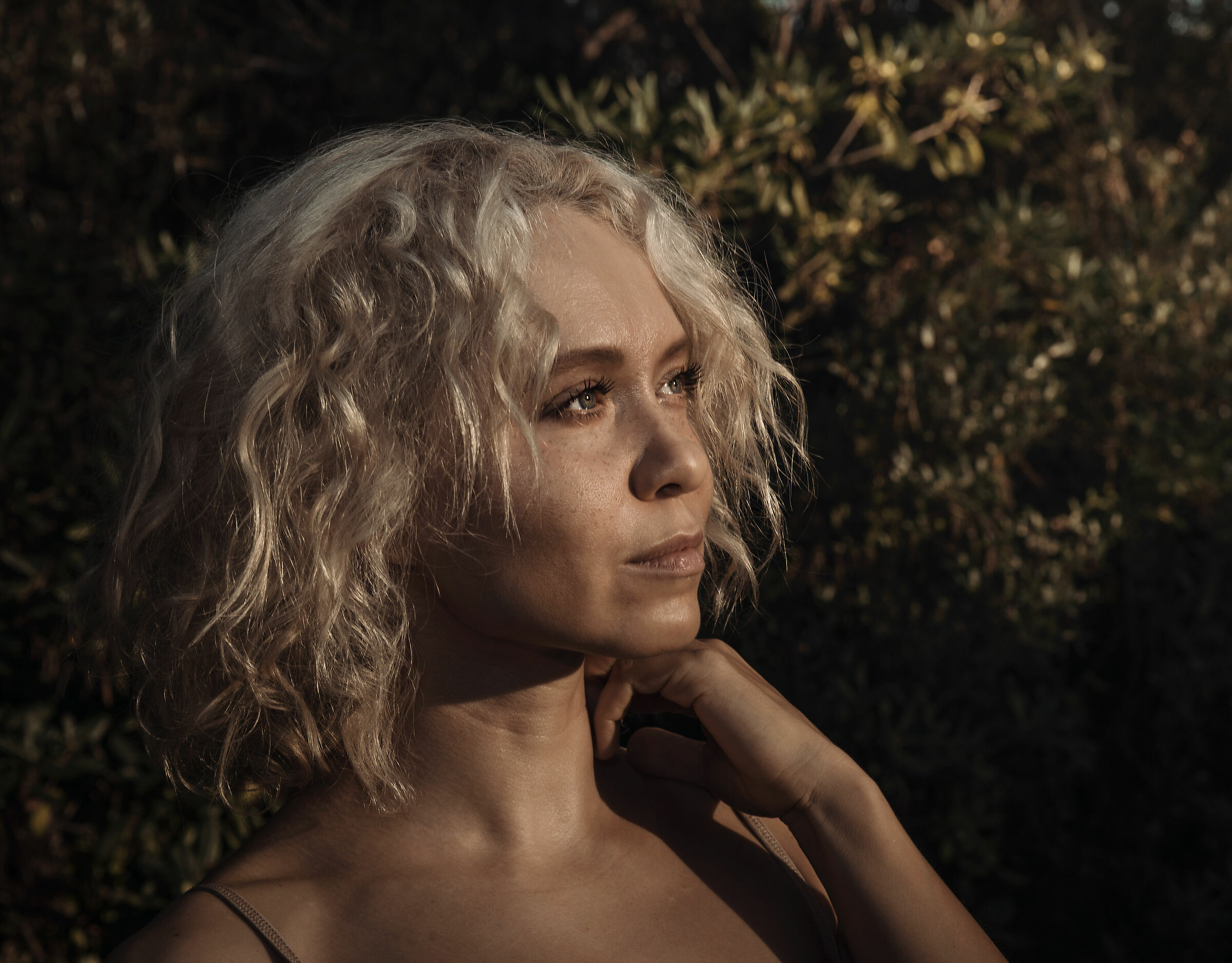 Golden Light, 2, 2, 2