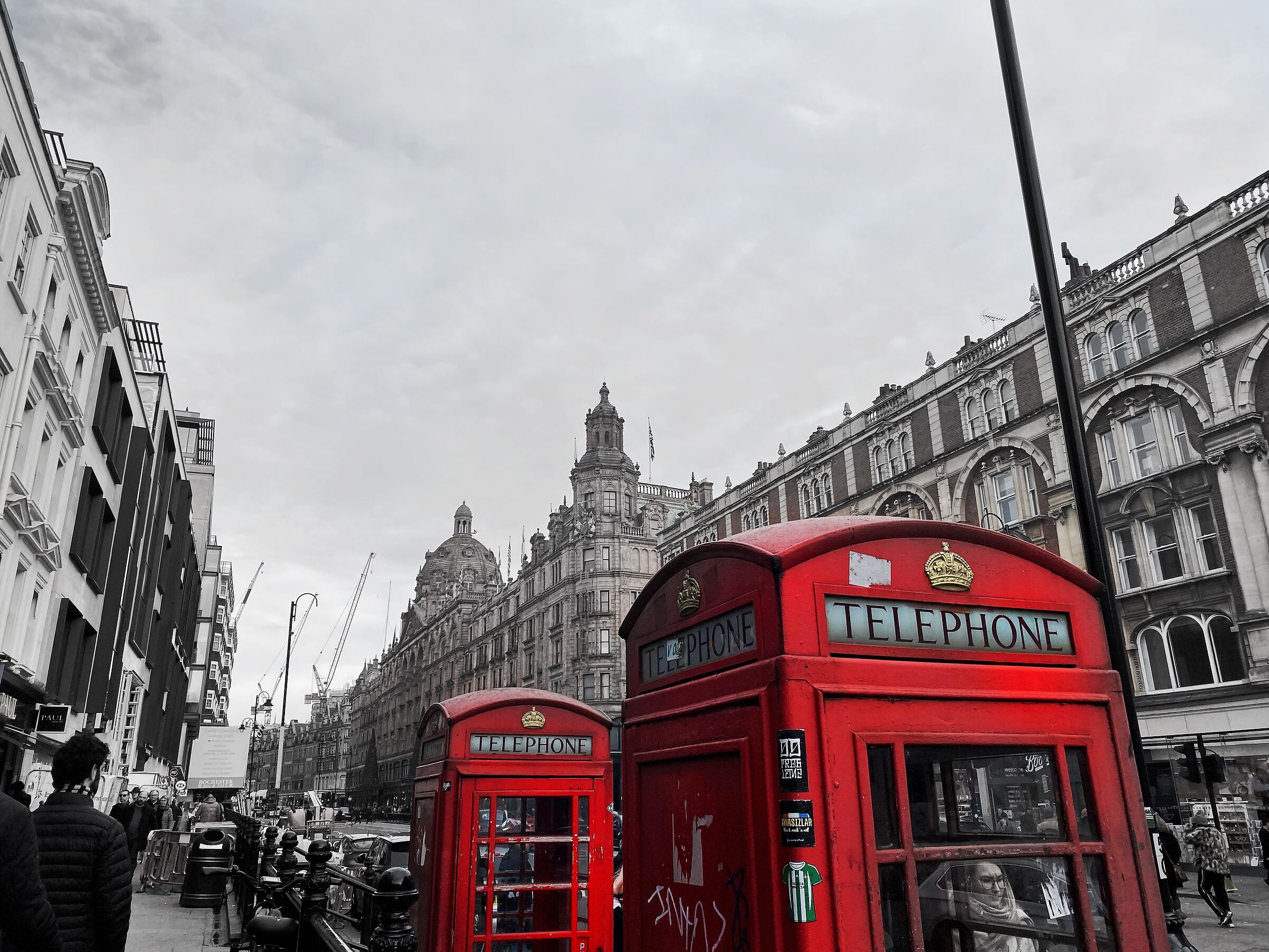 Untitled Photo