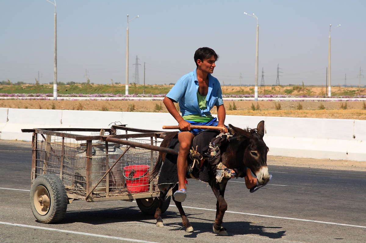 Uzbekistan Highway