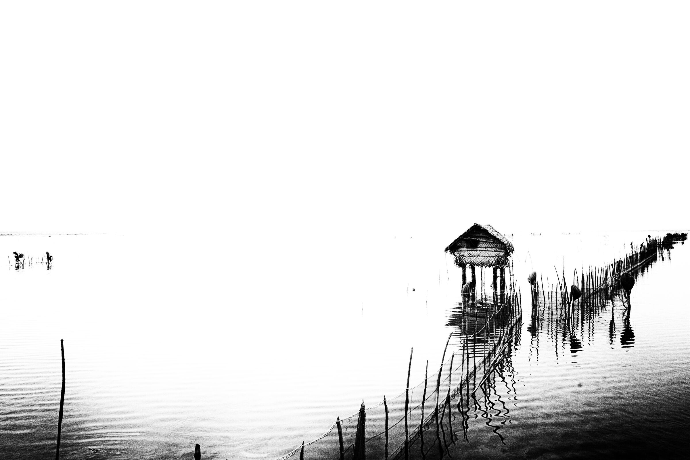 bridge for jaffna - sri lanka