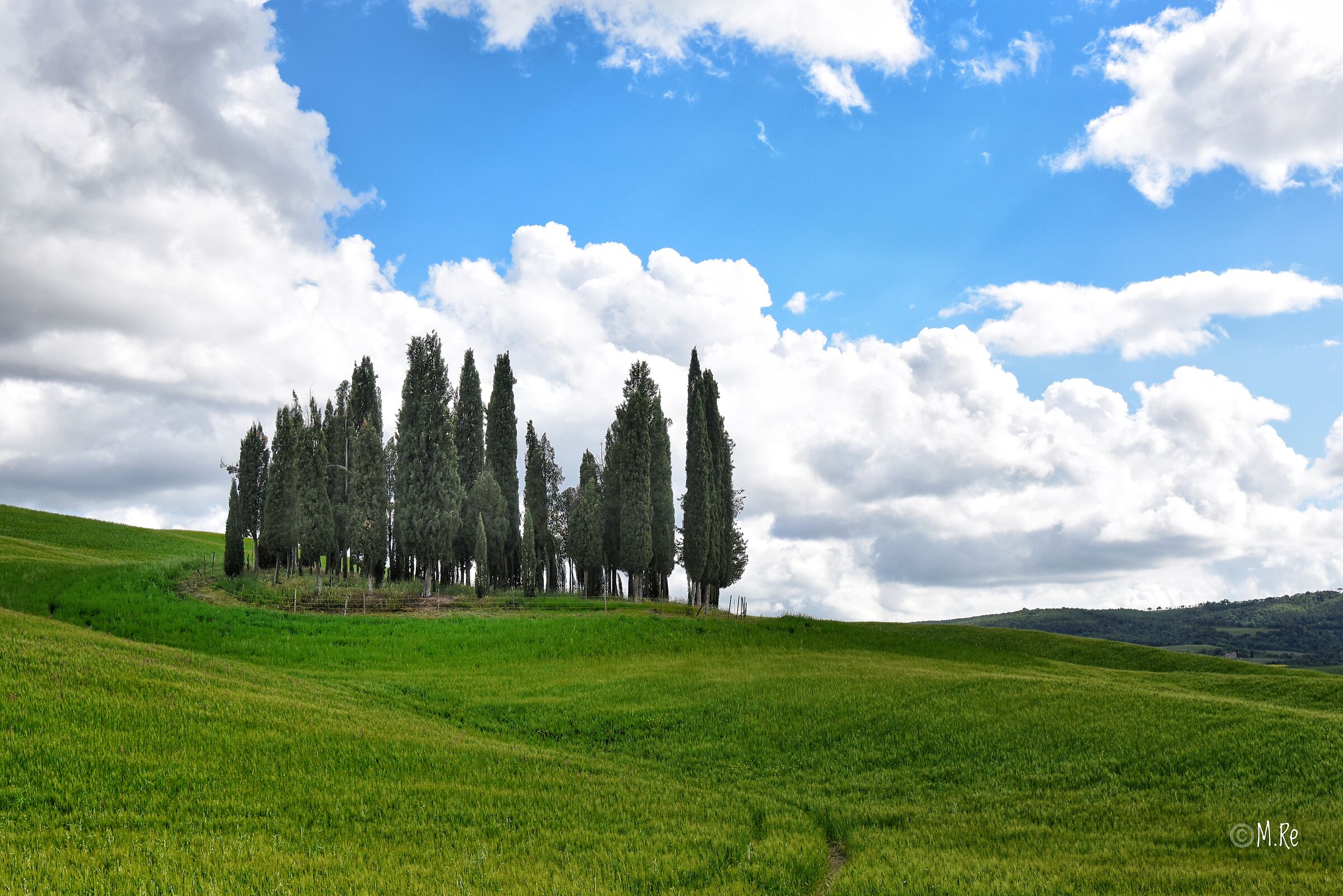 The Cypressins of San Quirico d'Orcia