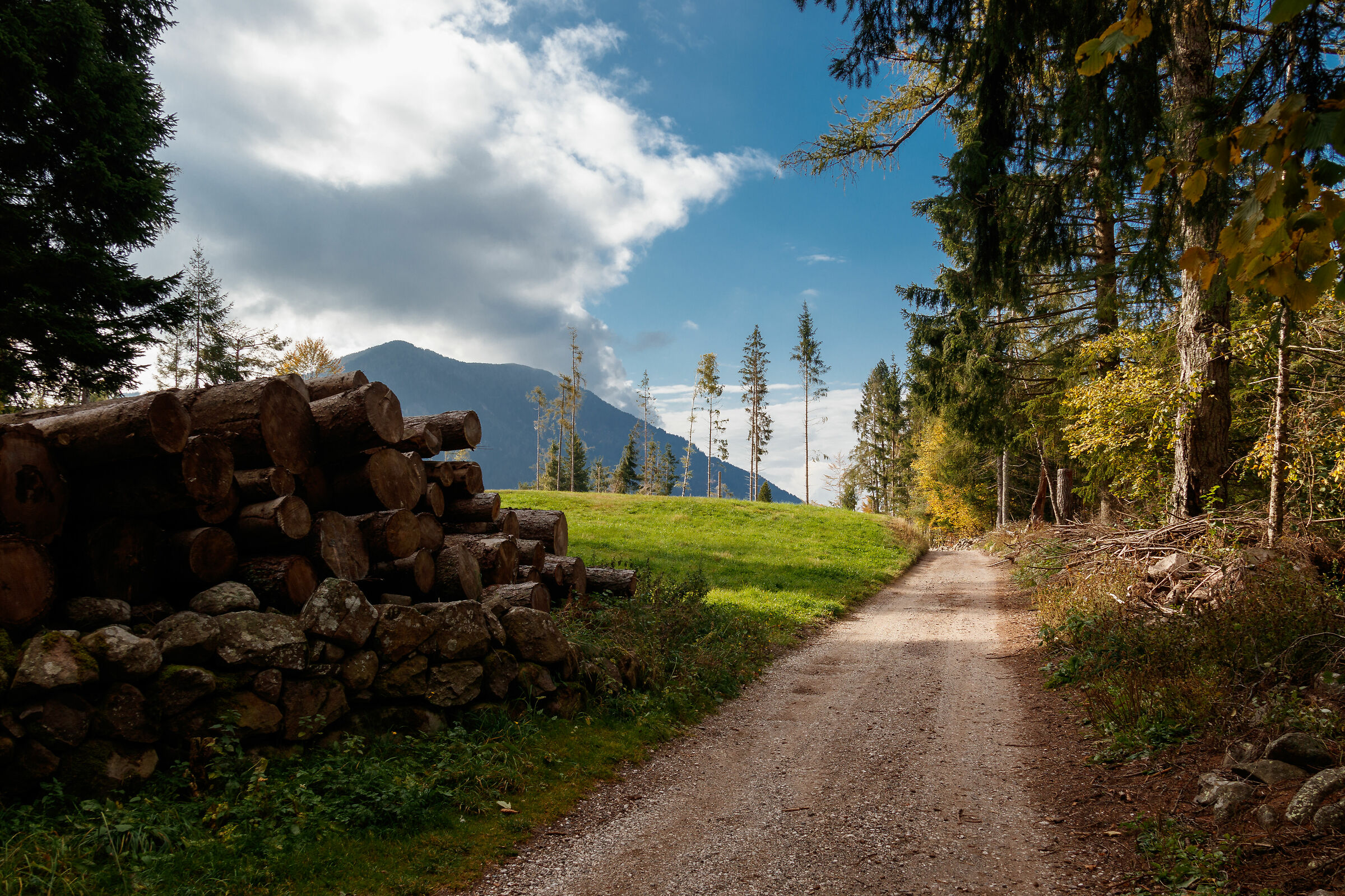 Trentino