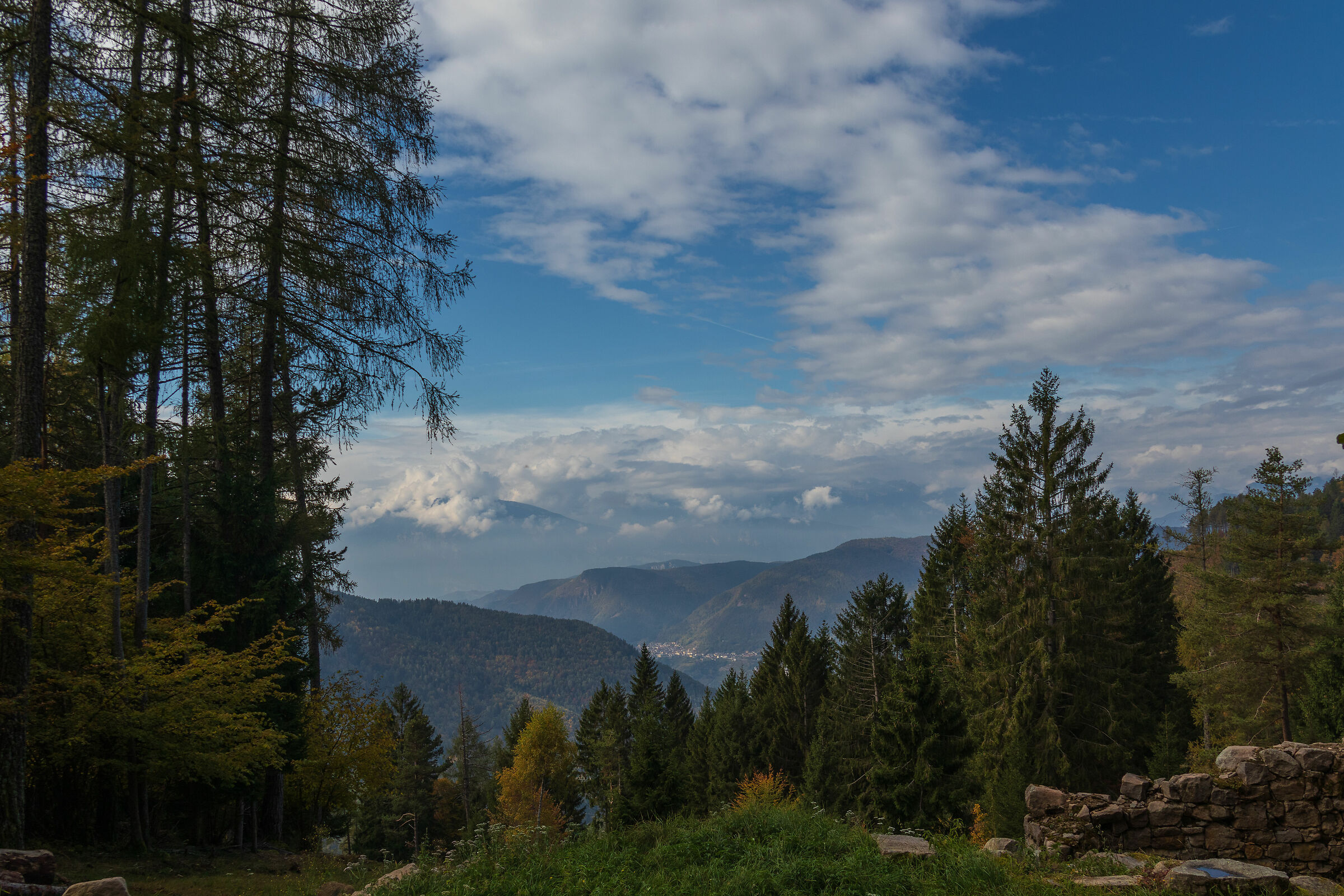 Trentino