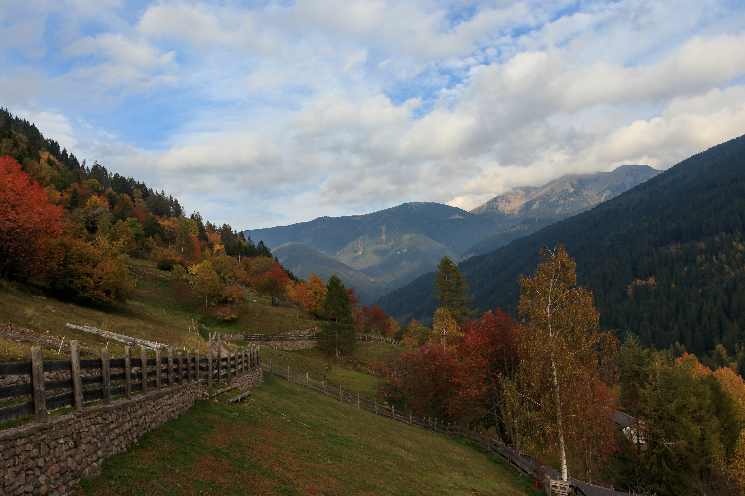 Trentino