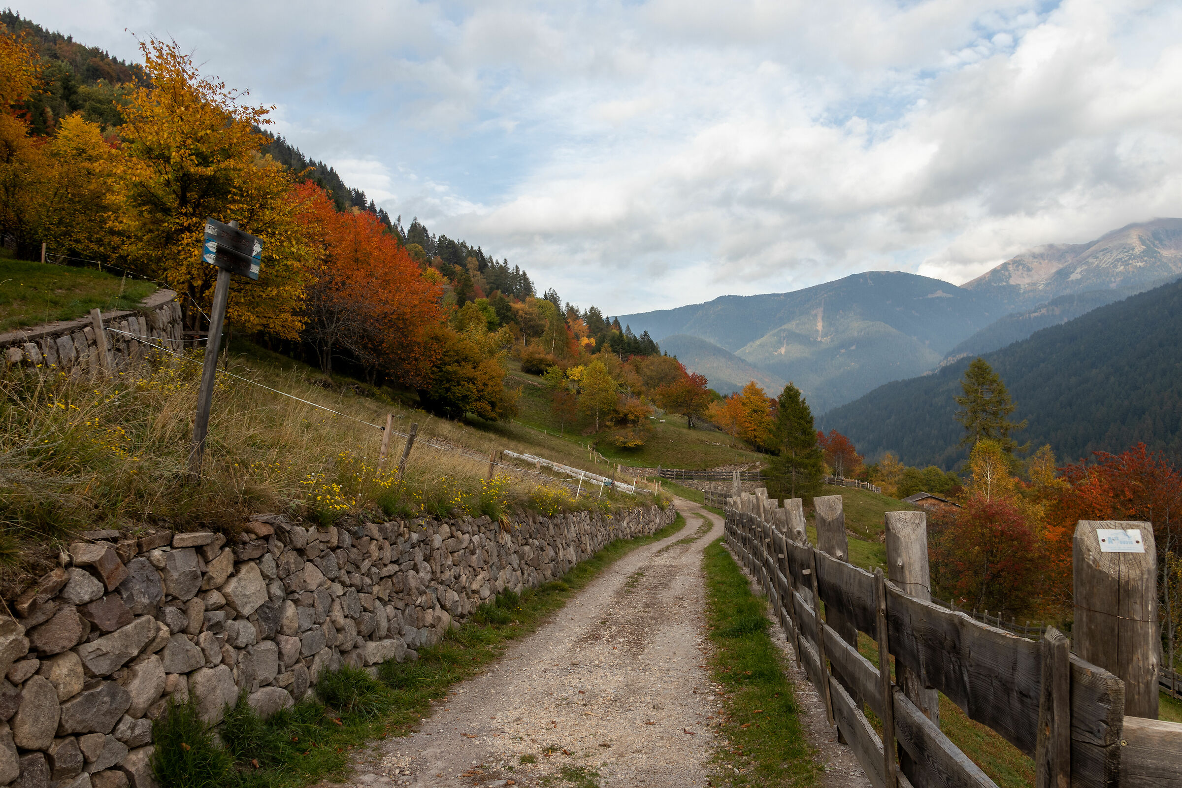 Trentino