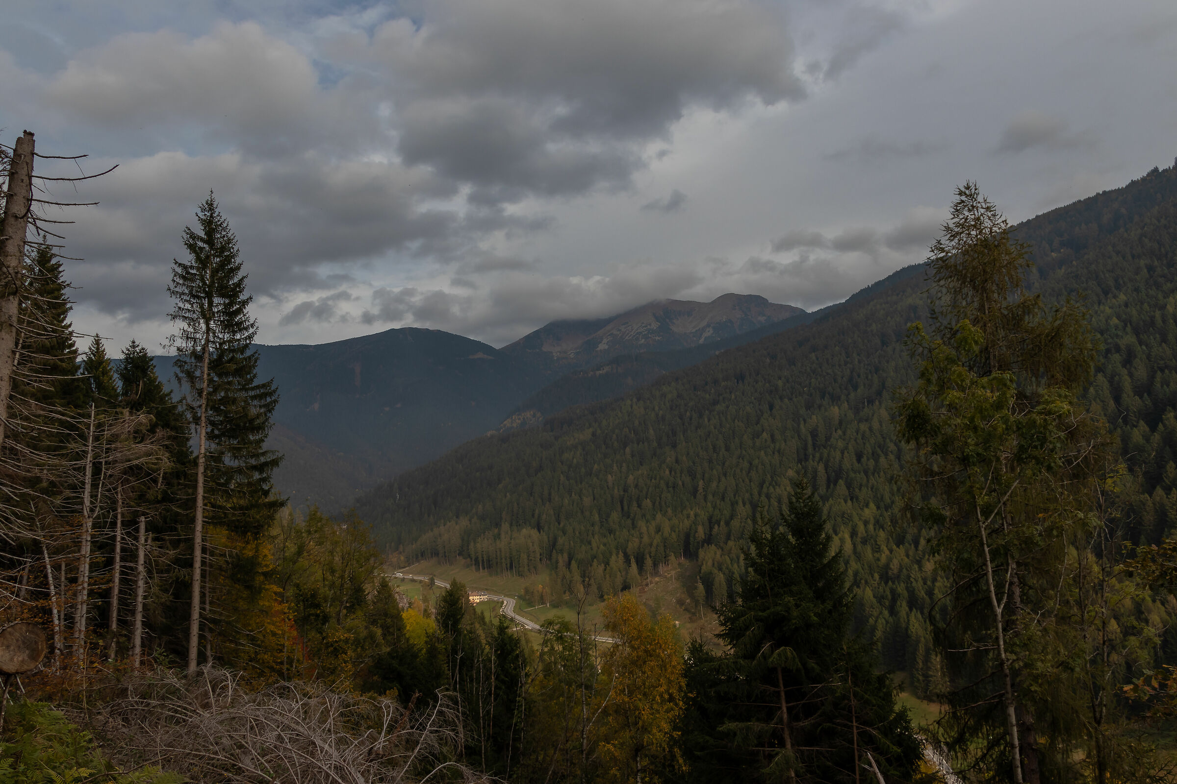 Trentino