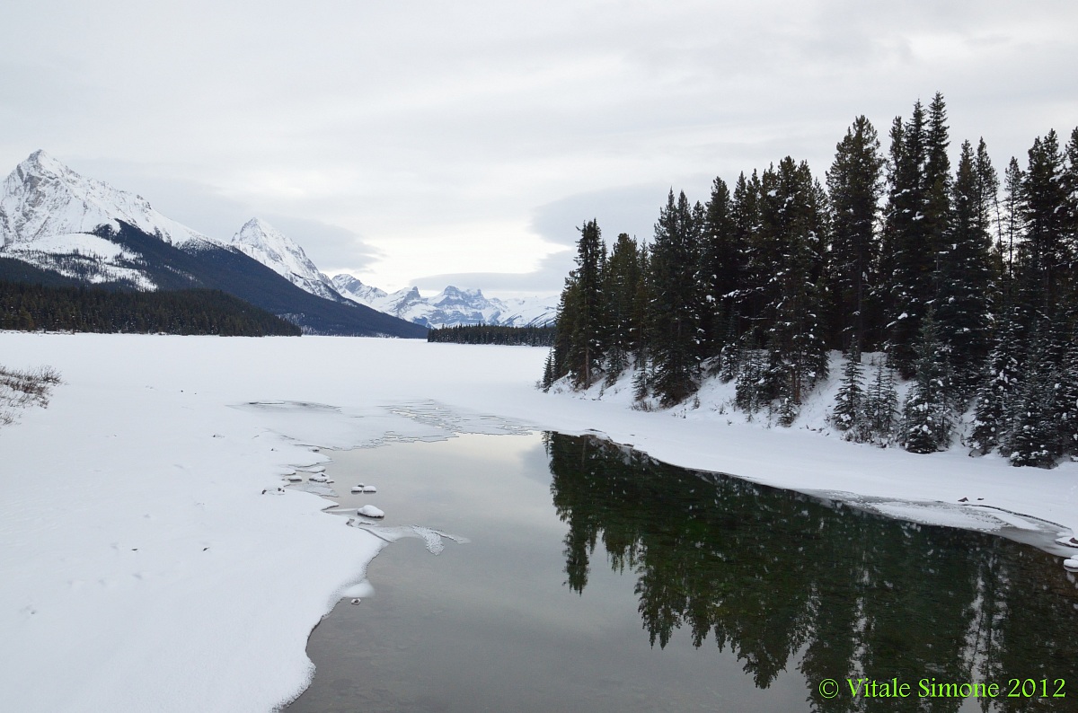Jasper Park 2