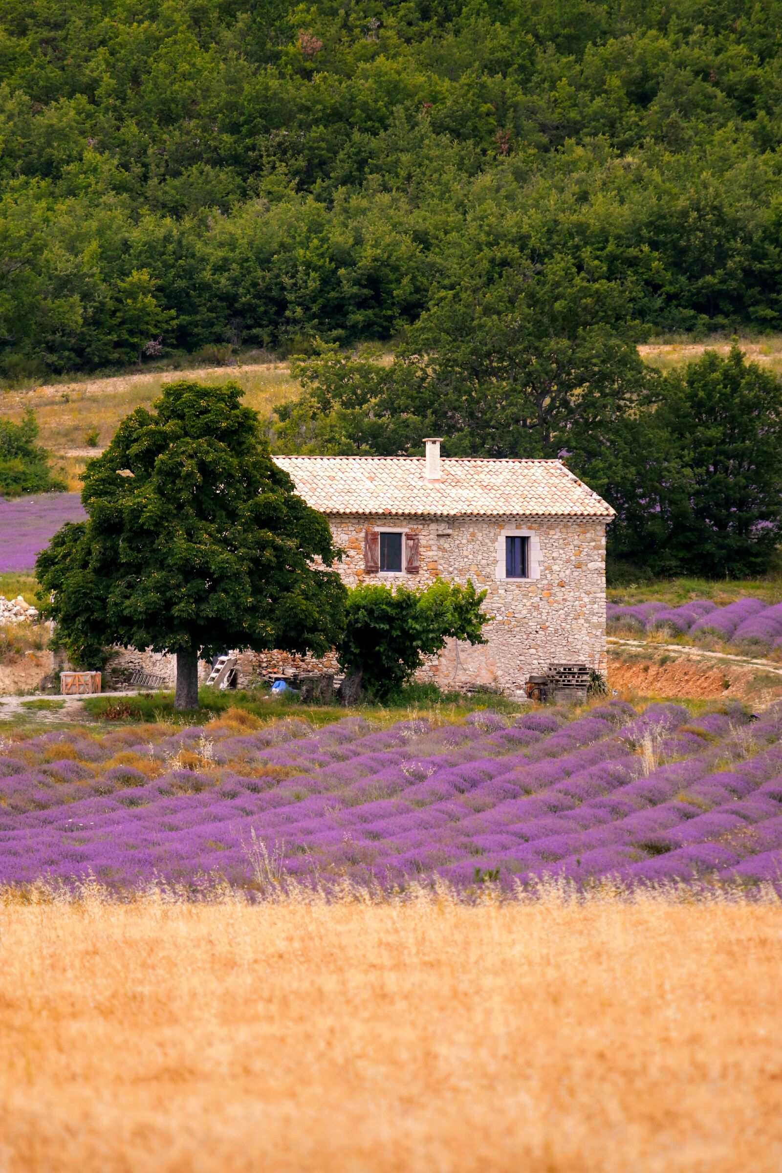 cascina vicino a Banon (Alpes de Haute Provence)