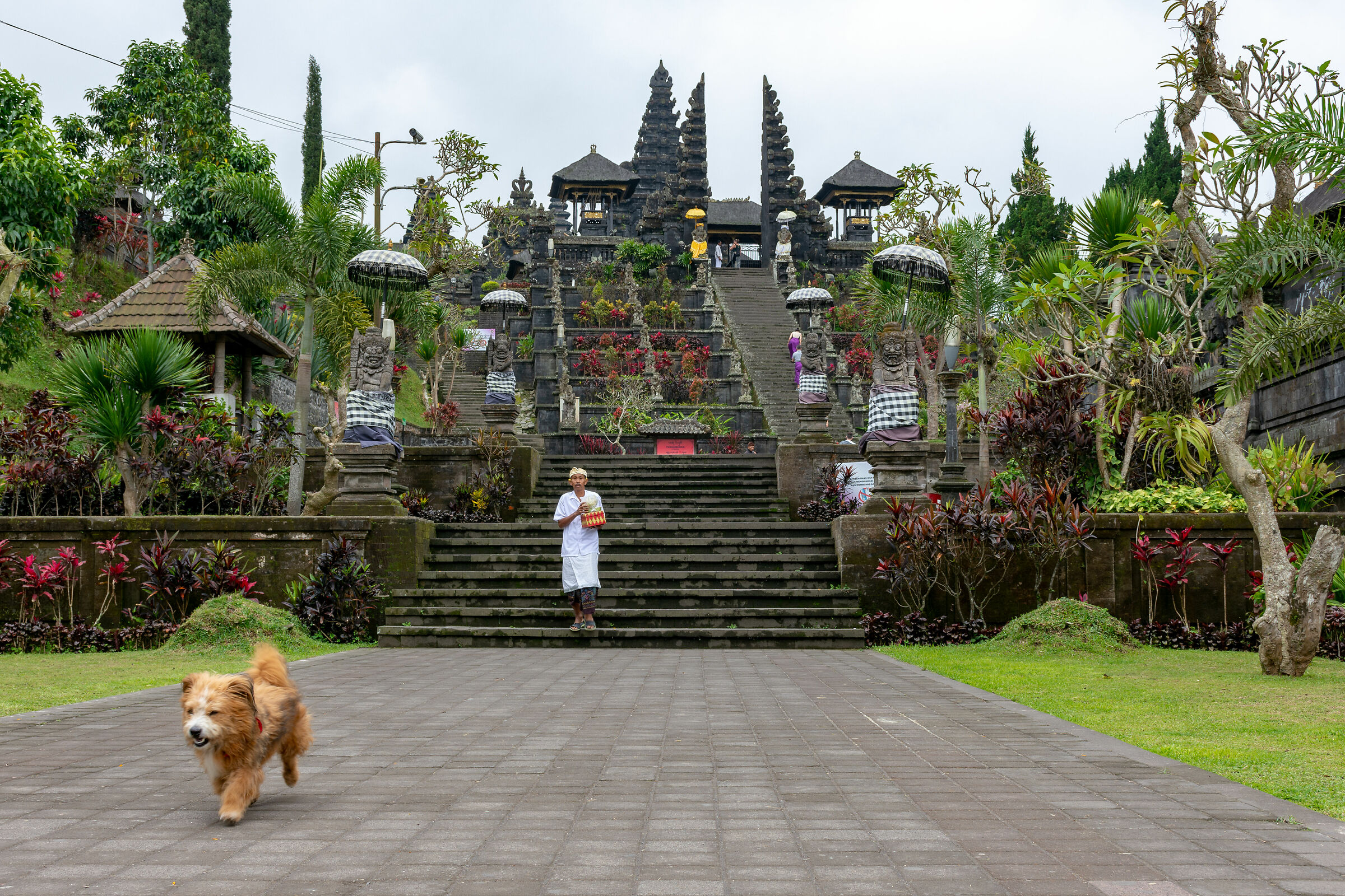 At the Mother Temple everyone can enter, even dogs