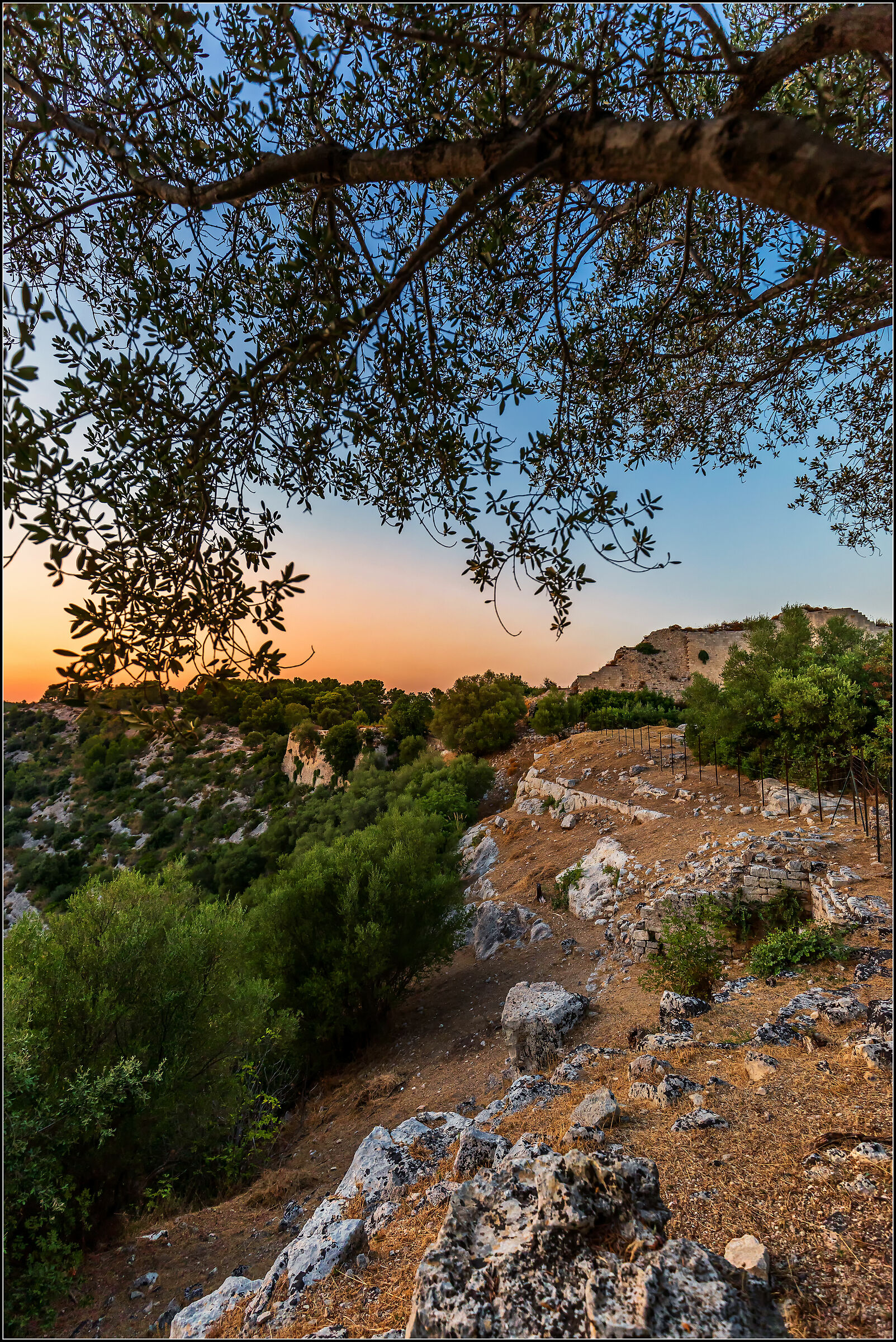 A shot at the Noto Antica (Sicilia)